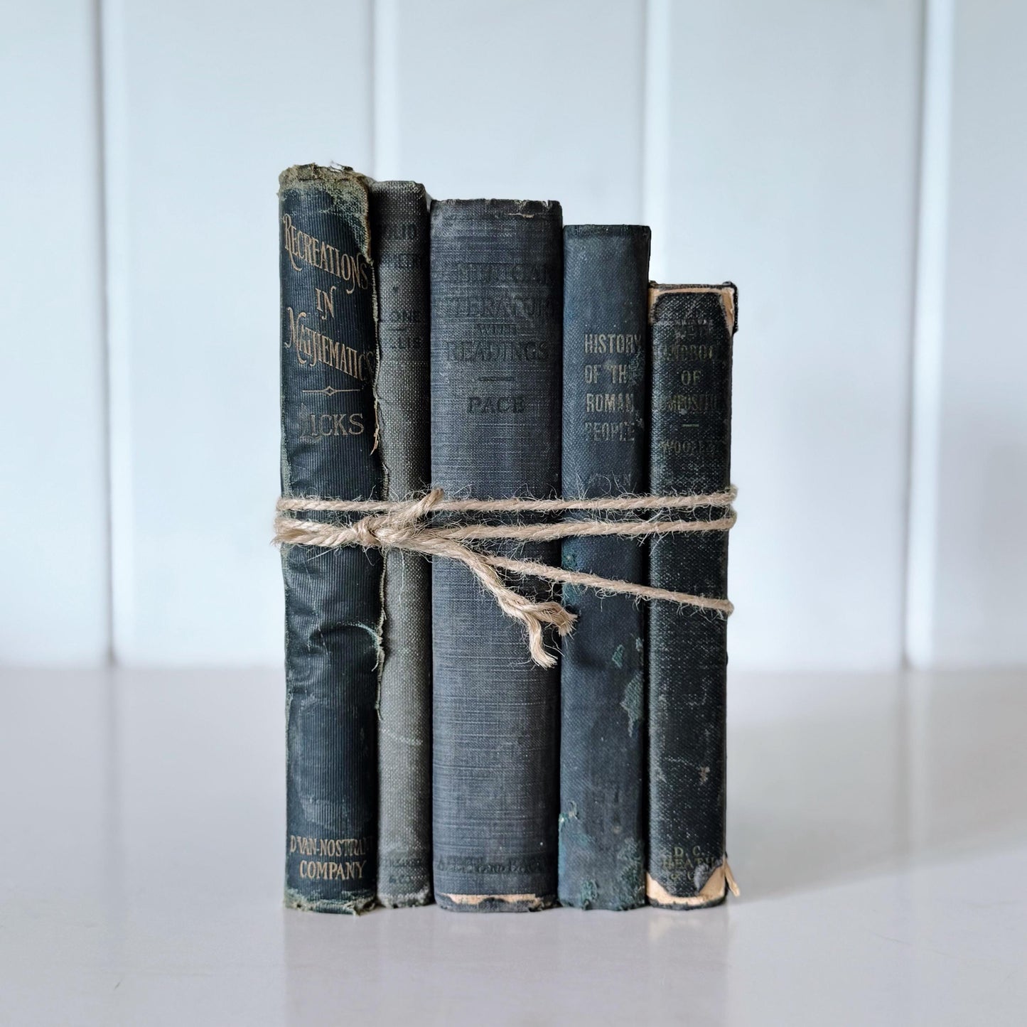 Antique Blue School Book Bundle, School Textbooks, Faded Shabby Books