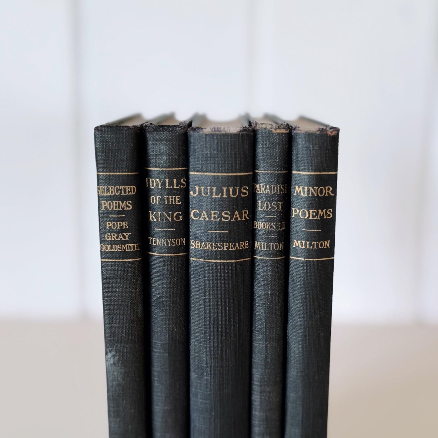 Antique Blue School Book Bundle, Classic Literature and Poetry Academy Classics