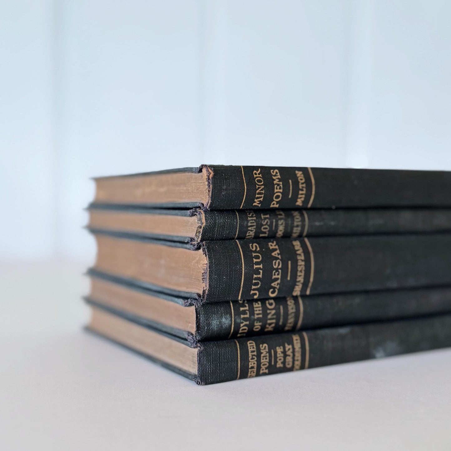 Antique Blue School Book Bundle, Classic Literature and Poetry Academy Classics