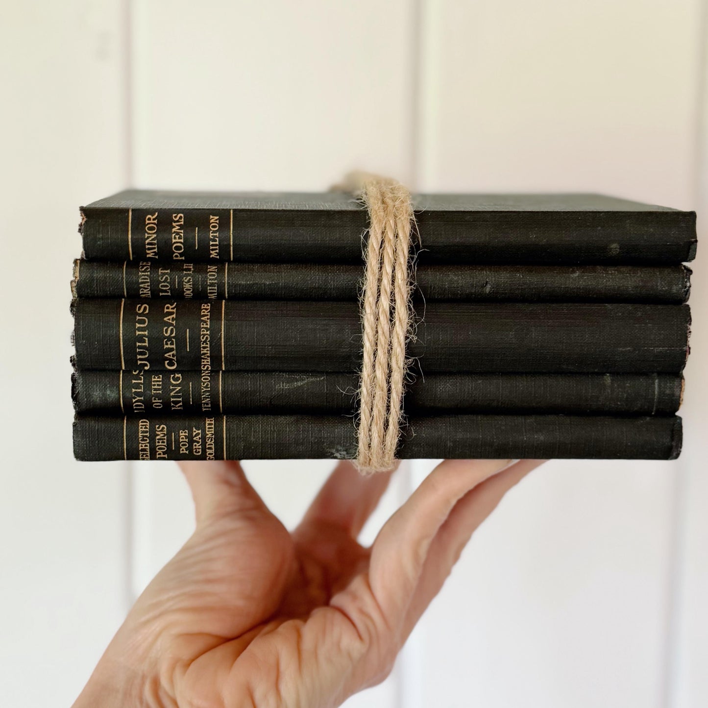 Antique Blue School Book Bundle, Classic Literature and Poetry Academy Classics