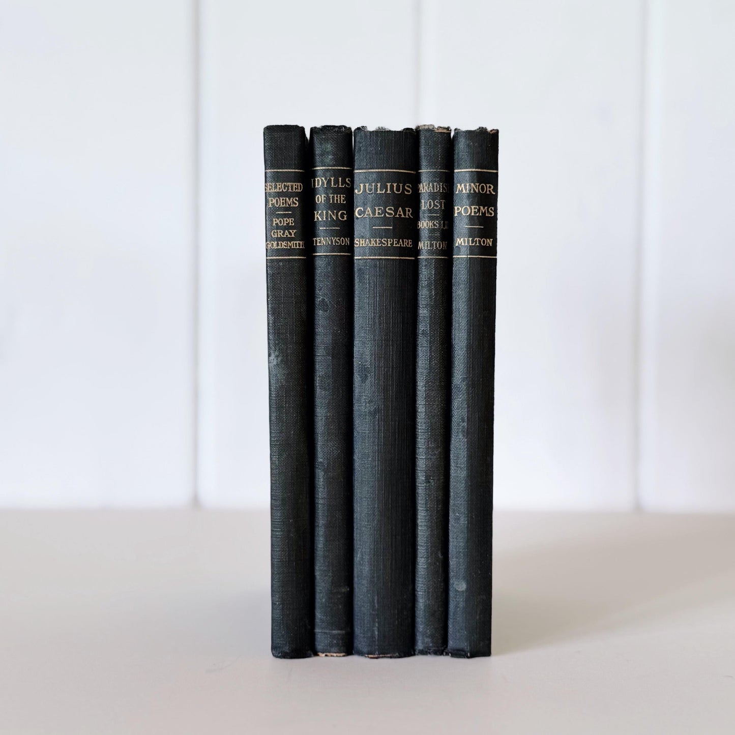 Antique Blue School Book Bundle, Classic Literature and Poetry Academy Classics
