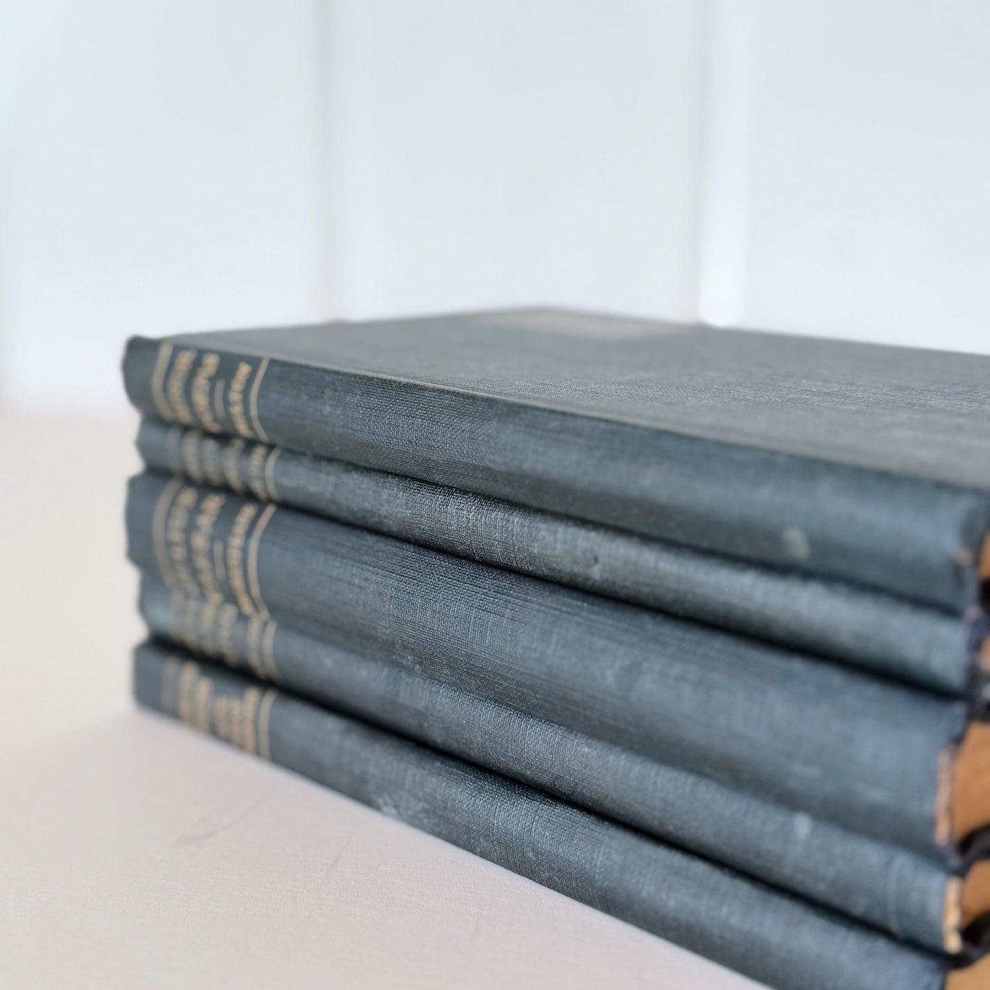 Antique Blue School Book Bundle, Classic Literature and Poetry Academy Classics