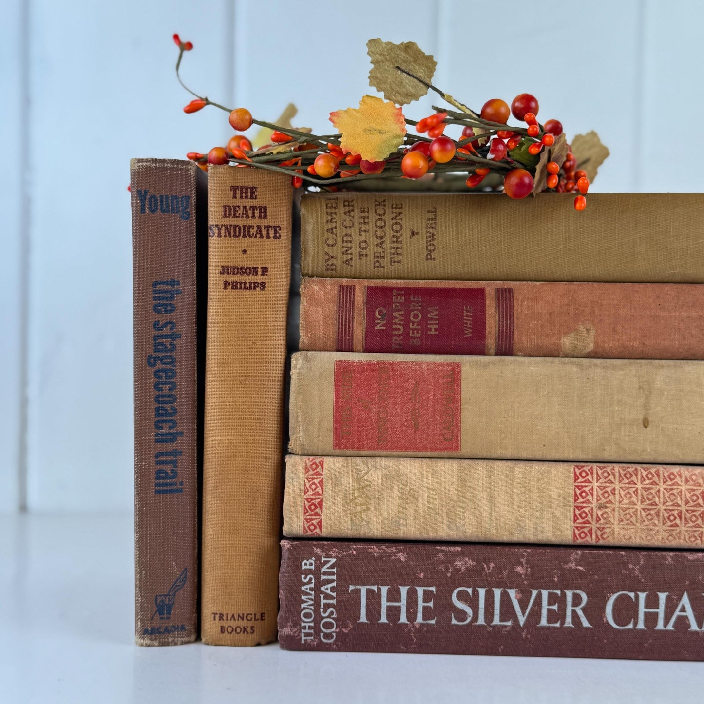 Vintage Fall Book Set in Warm Neutral Tones for Rustic Shelf Styling & Seasonal Decor