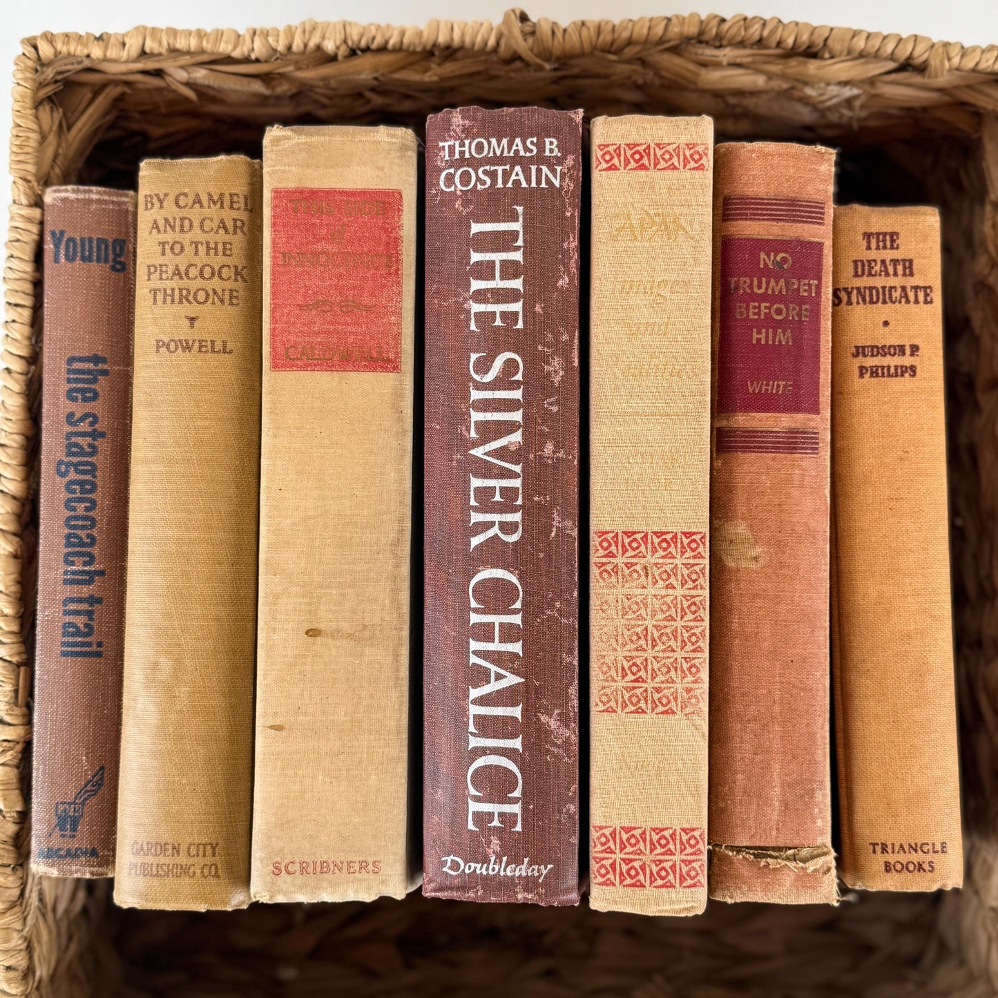 Vintage Fall Book Set in Warm Neutral Tones for Rustic Shelf Styling & Seasonal Decor