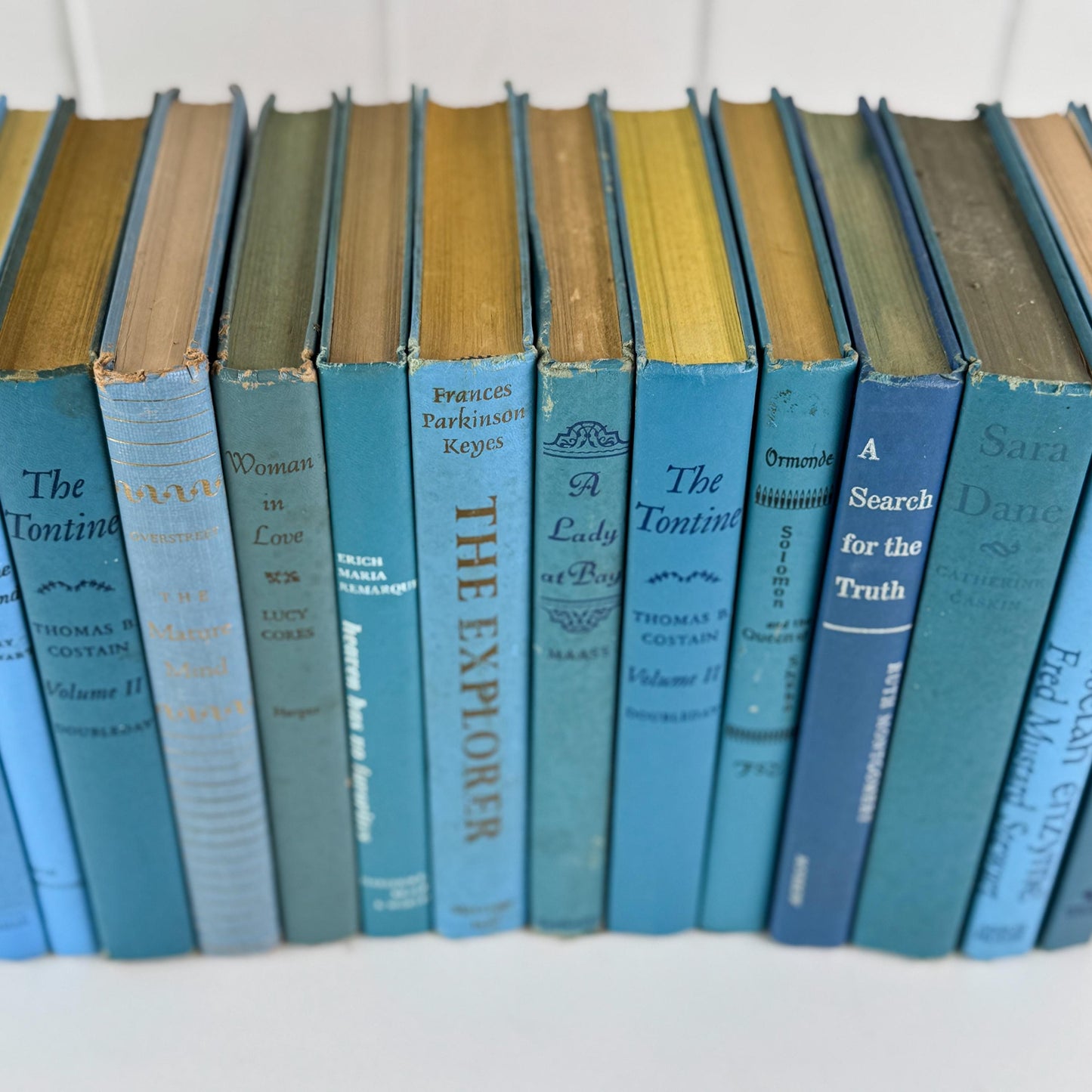 Retro Vintage Blue Book Set • Shelf Styling Books • 1960s Large Book Set by Color