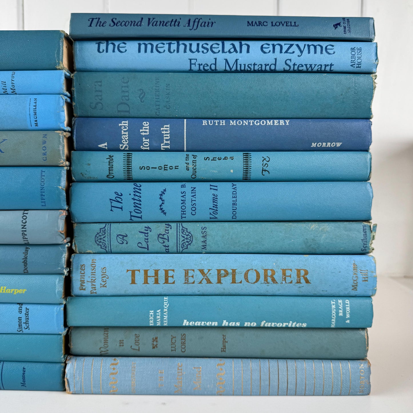 Retro Vintage Blue Book Set • Shelf Styling Books • 1960s Large Book Set by Color