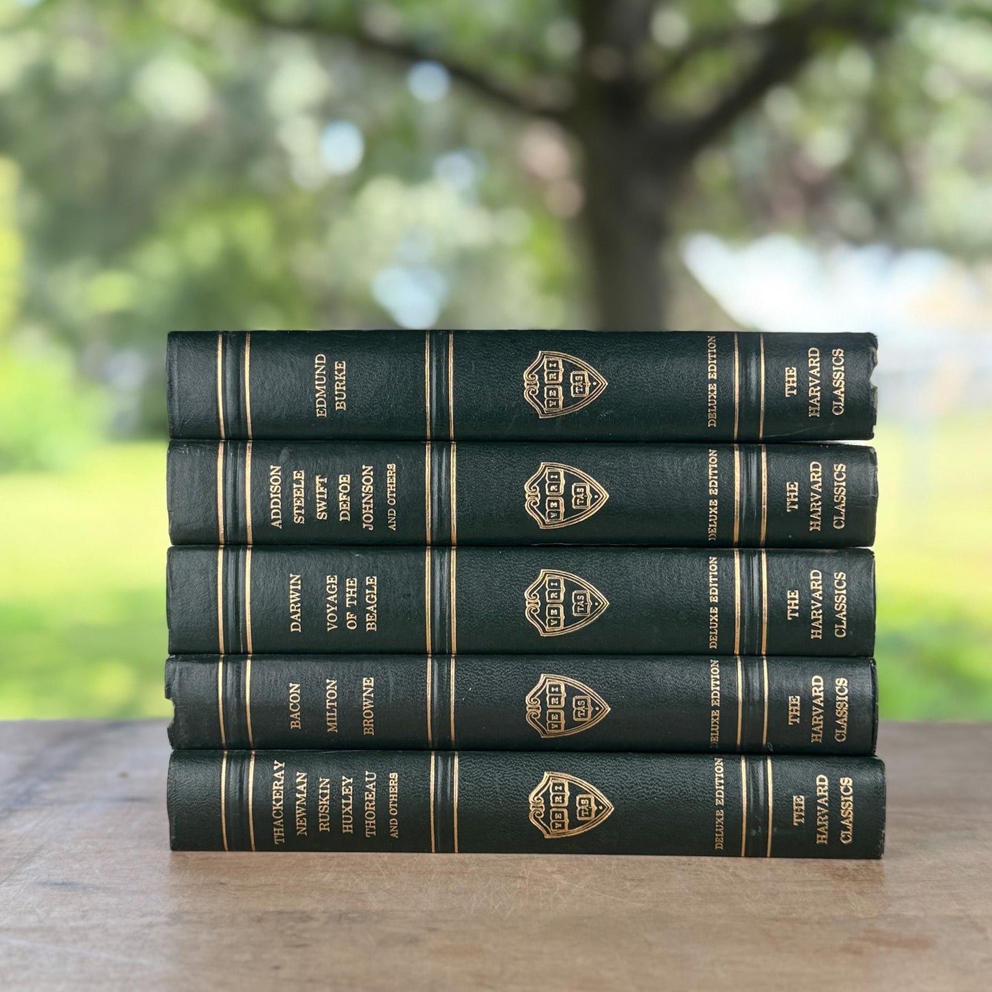 The Harvard Classics, Bookshelf Decor, Green Vintage Decorative Books For Home Decor