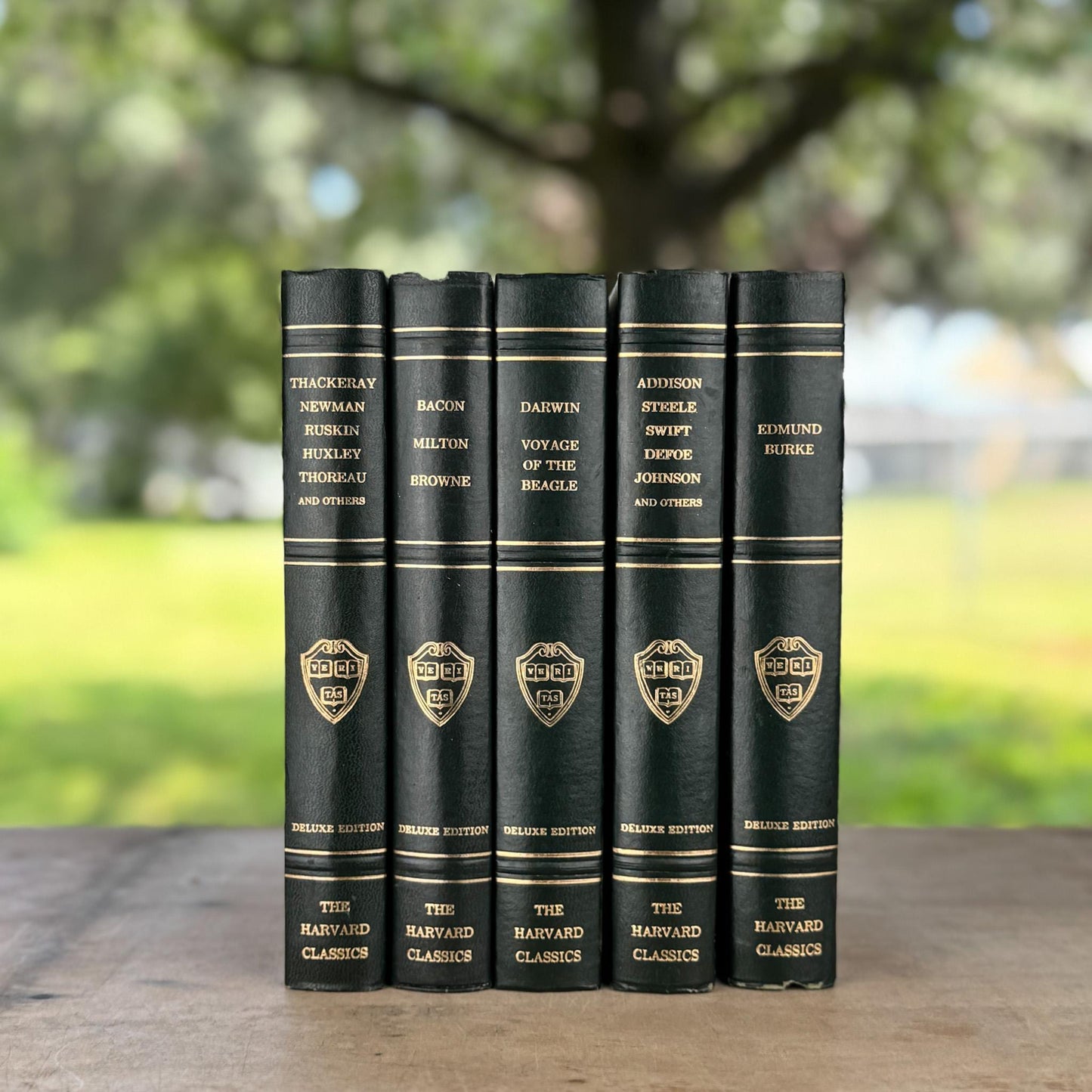 The Harvard Classics, Bookshelf Decor, Green Vintage Decorative Books For Home Decor
