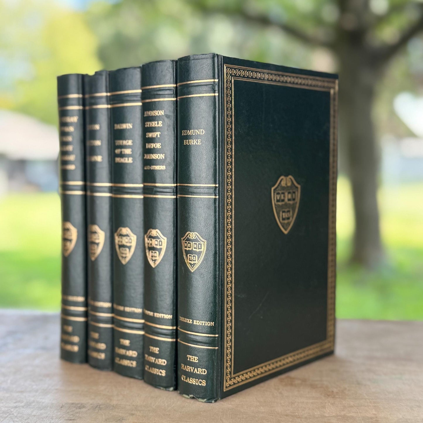 The Harvard Classics, Bookshelf Decor, Green Vintage Decorative Books For Home Decor