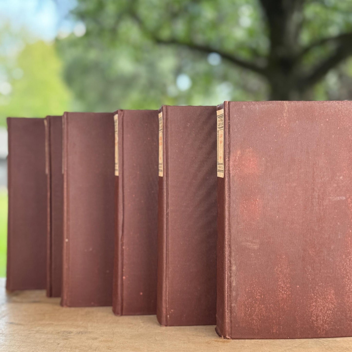 Antique Brown Book Set, The World’s Great Classics, Edition De Luxe, 1899