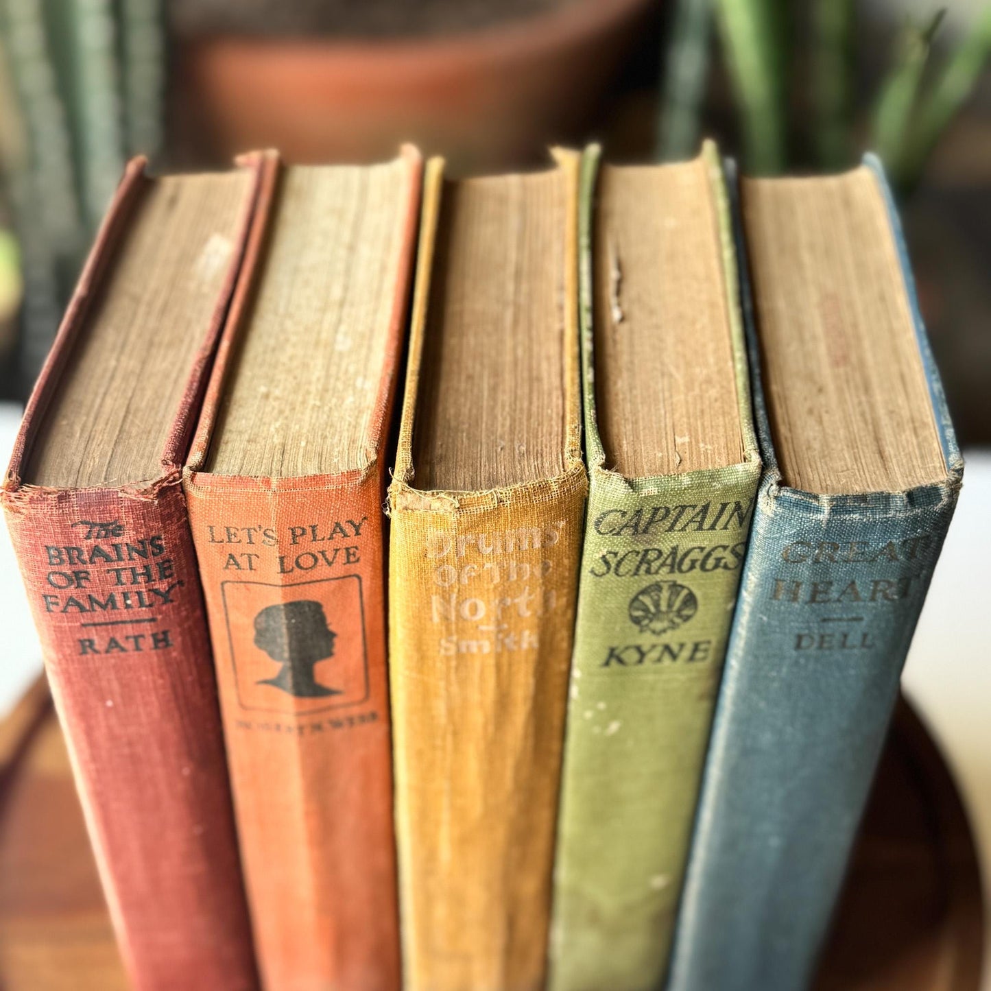 Antique Rainbow Book Set for Shelf Display, Rustic Farmhouse Decor, Rainbow Bookshelf Decor