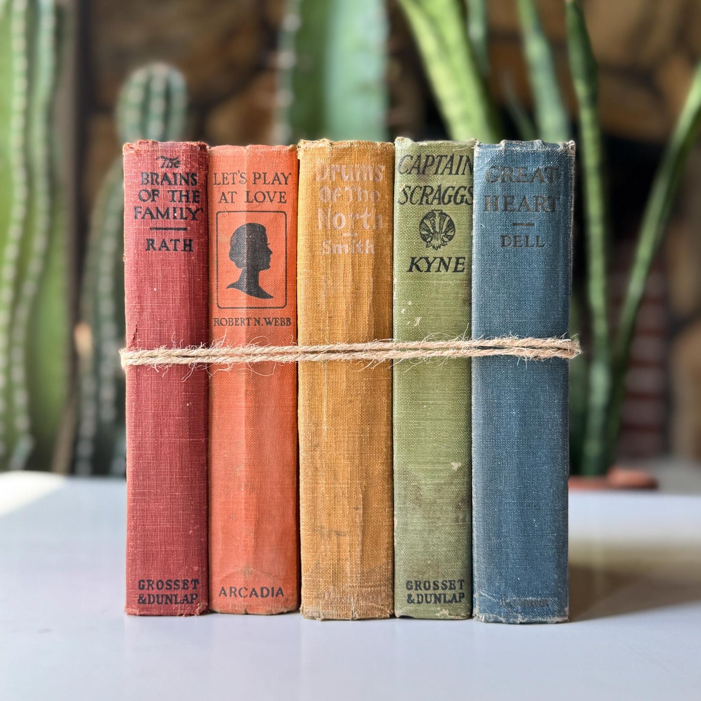Antique Rainbow Book Set for Shelf Display, Rustic Farmhouse Decor, Rainbow Bookshelf Decor