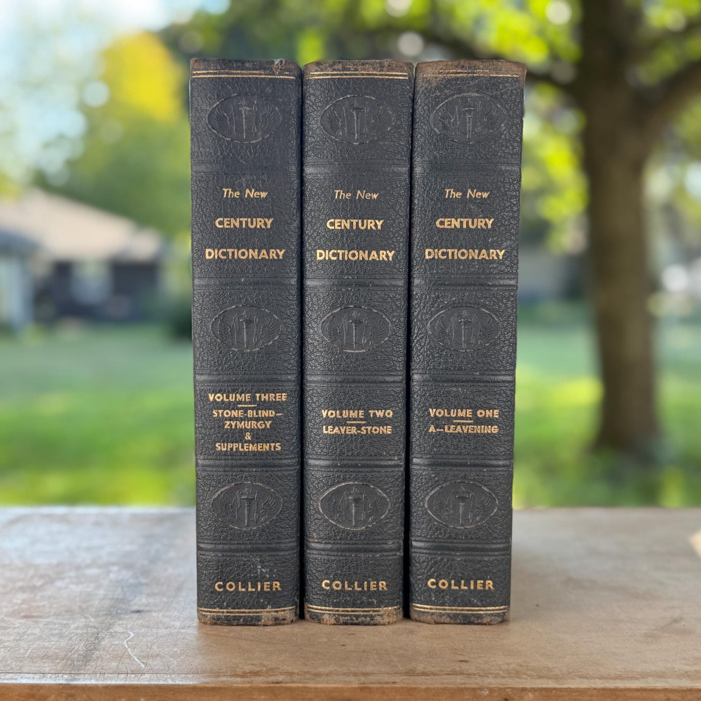 Vintage Oversized Illustrated Blue New Century Dictionary Books 1934