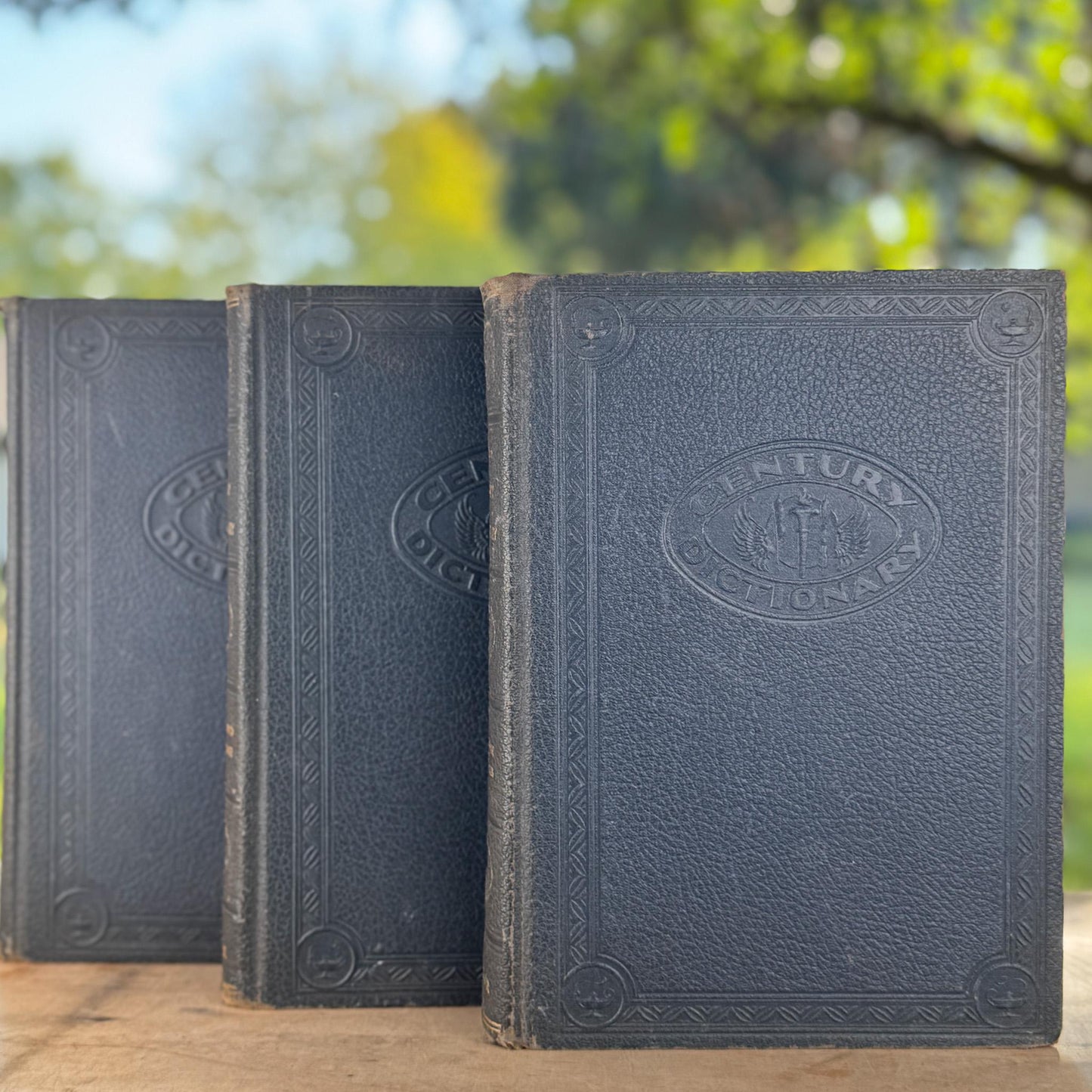 Vintage Oversized Illustrated Blue New Century Dictionary Books 1934
