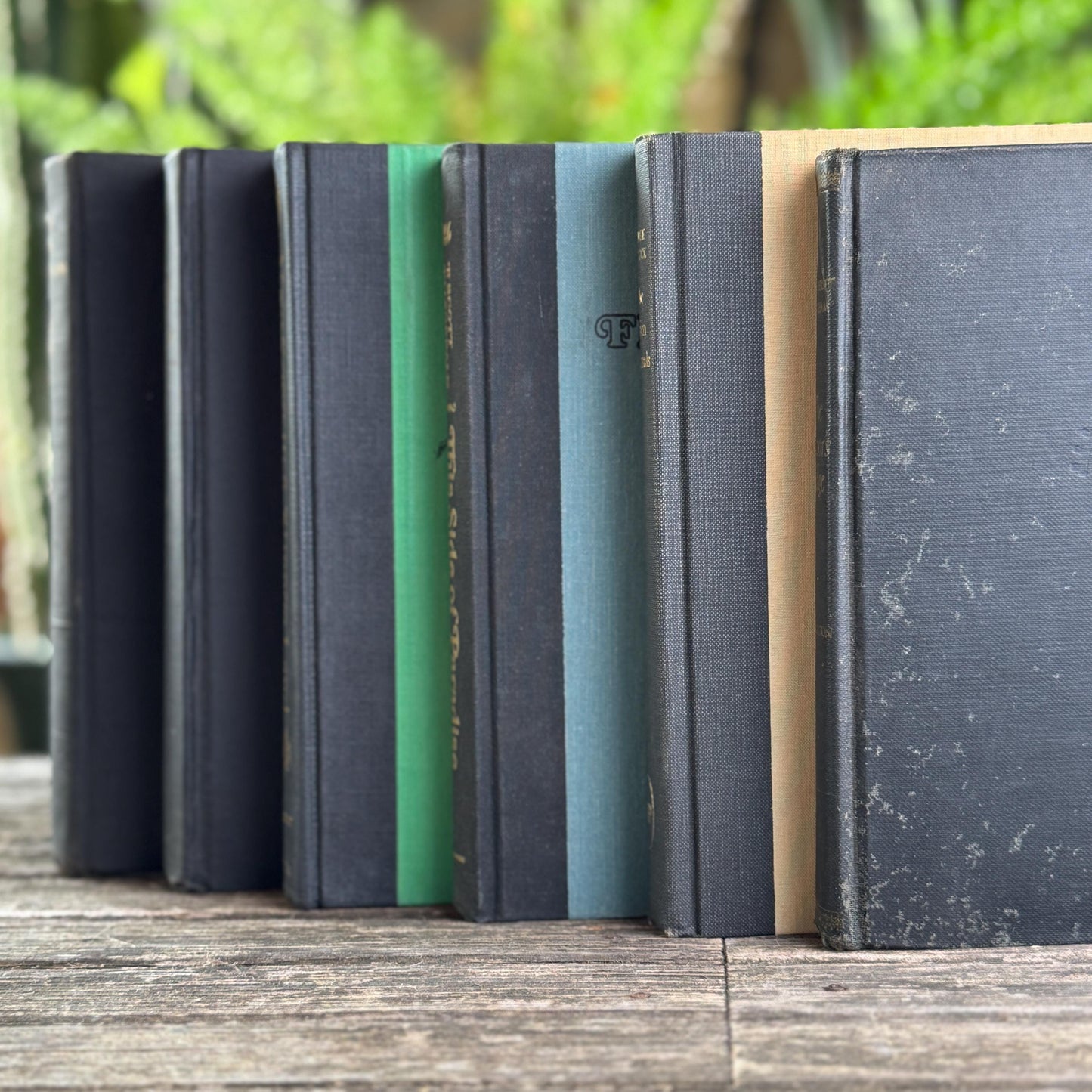 Dark Gray and Faded Black Masculine Mid Century Books for Shelf Styling