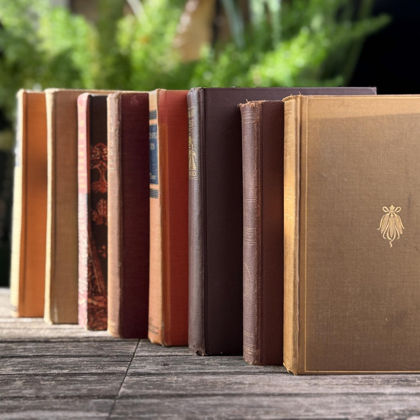 Vintage Copper, Tan, and Brown Retro 1960s Books for Decor