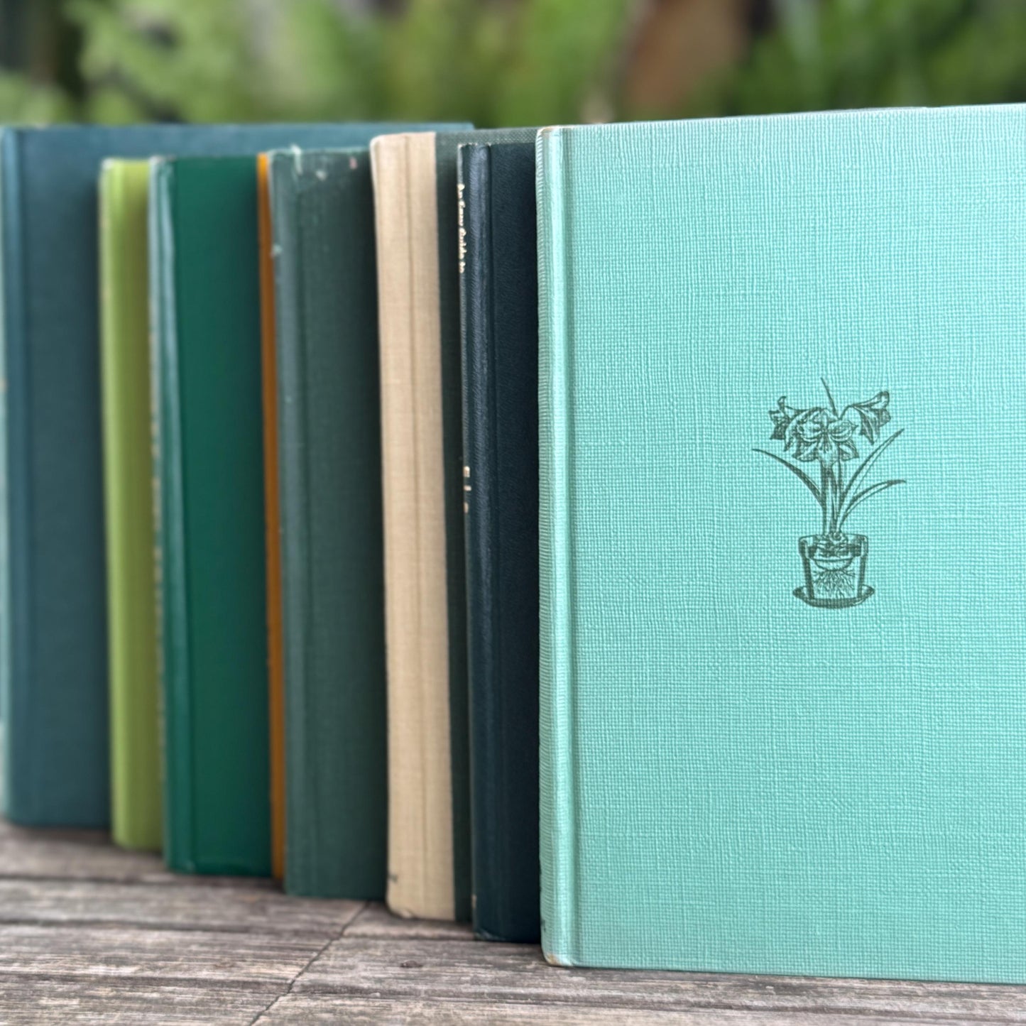 Vintage Indoor Gardening Green Book Bundle