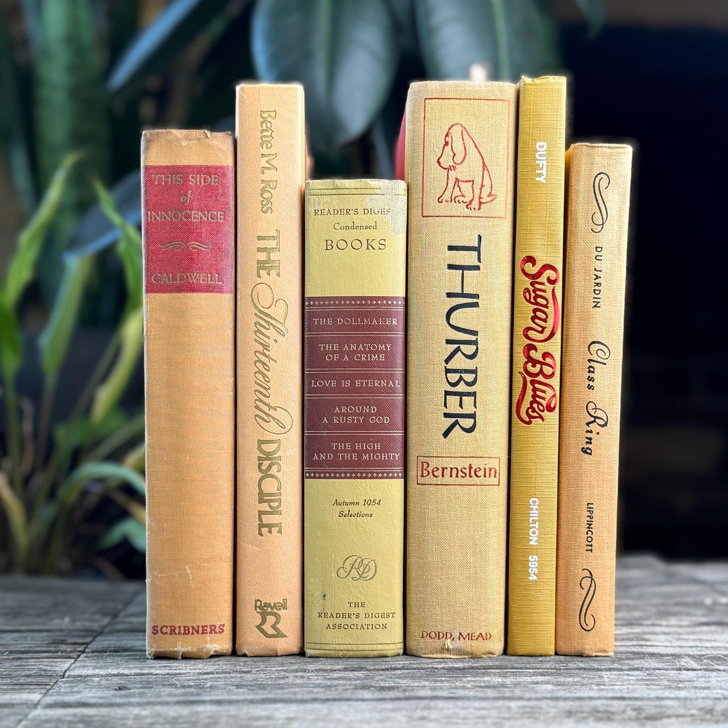Vintage Mid Century Book Bundle in Warm Yellow, Peach & Tan, and Red