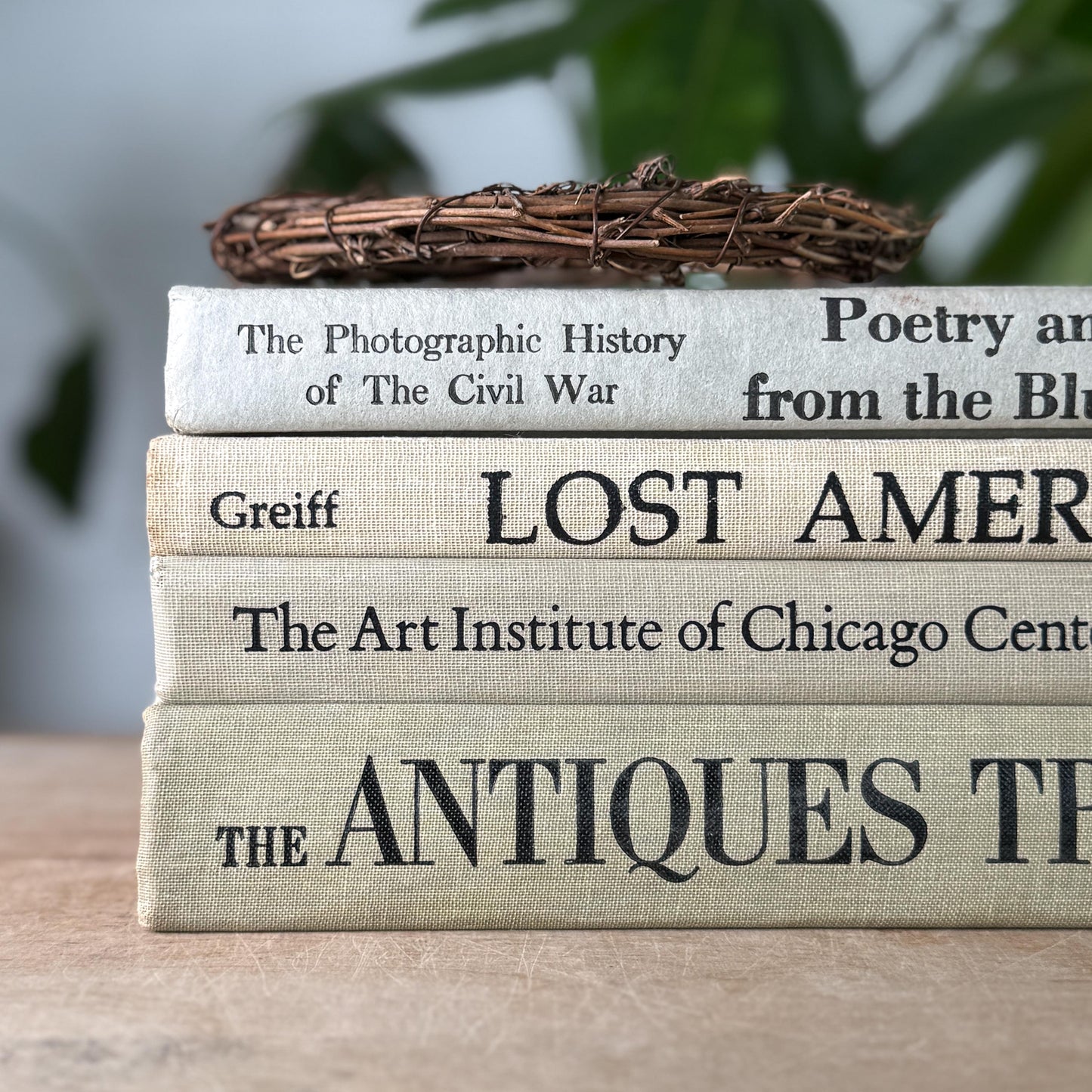 Vintage Neutral Linen Book Stack: History, Art, Antiques