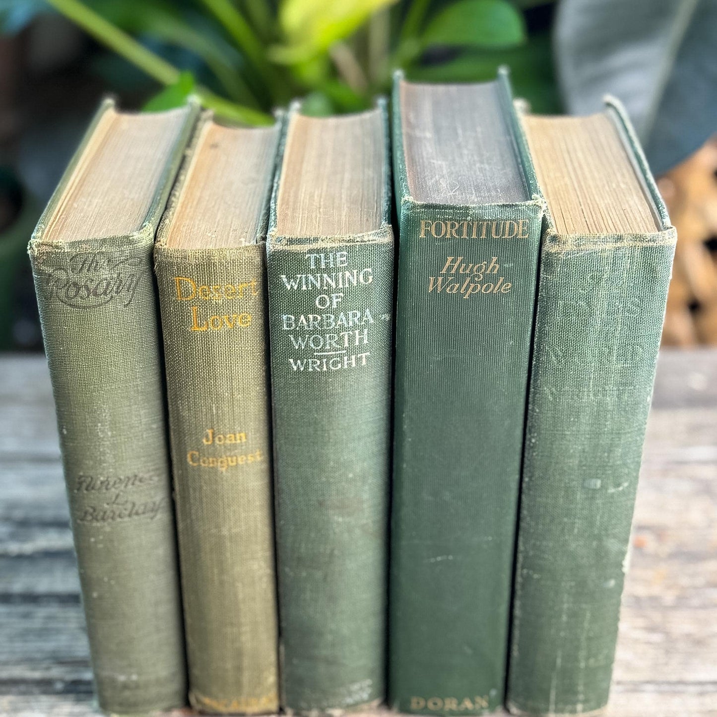 Antique Green Novel Bundle For Shelf Styling