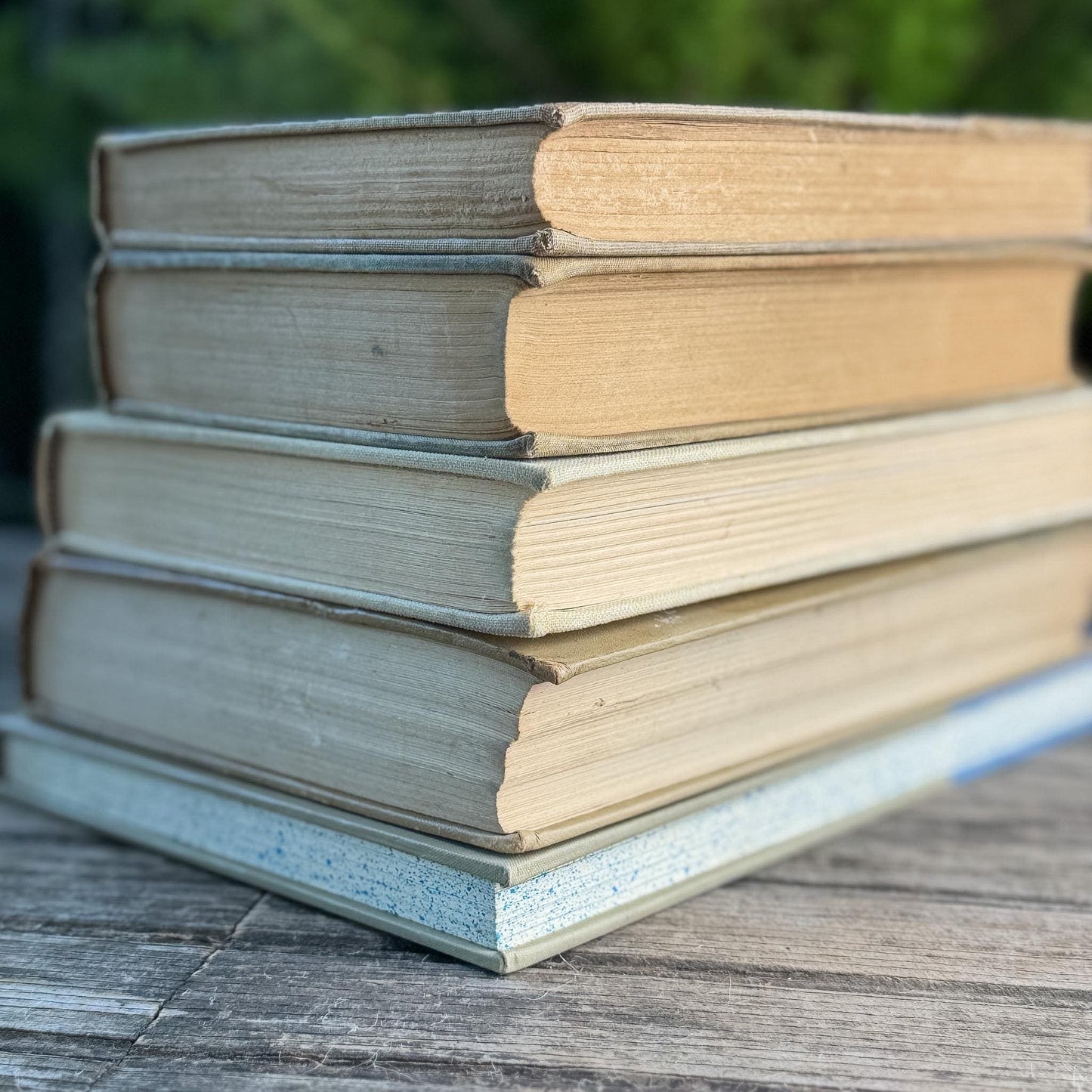 Blue & Tan Soft and Cozy Vintage Book Bundle