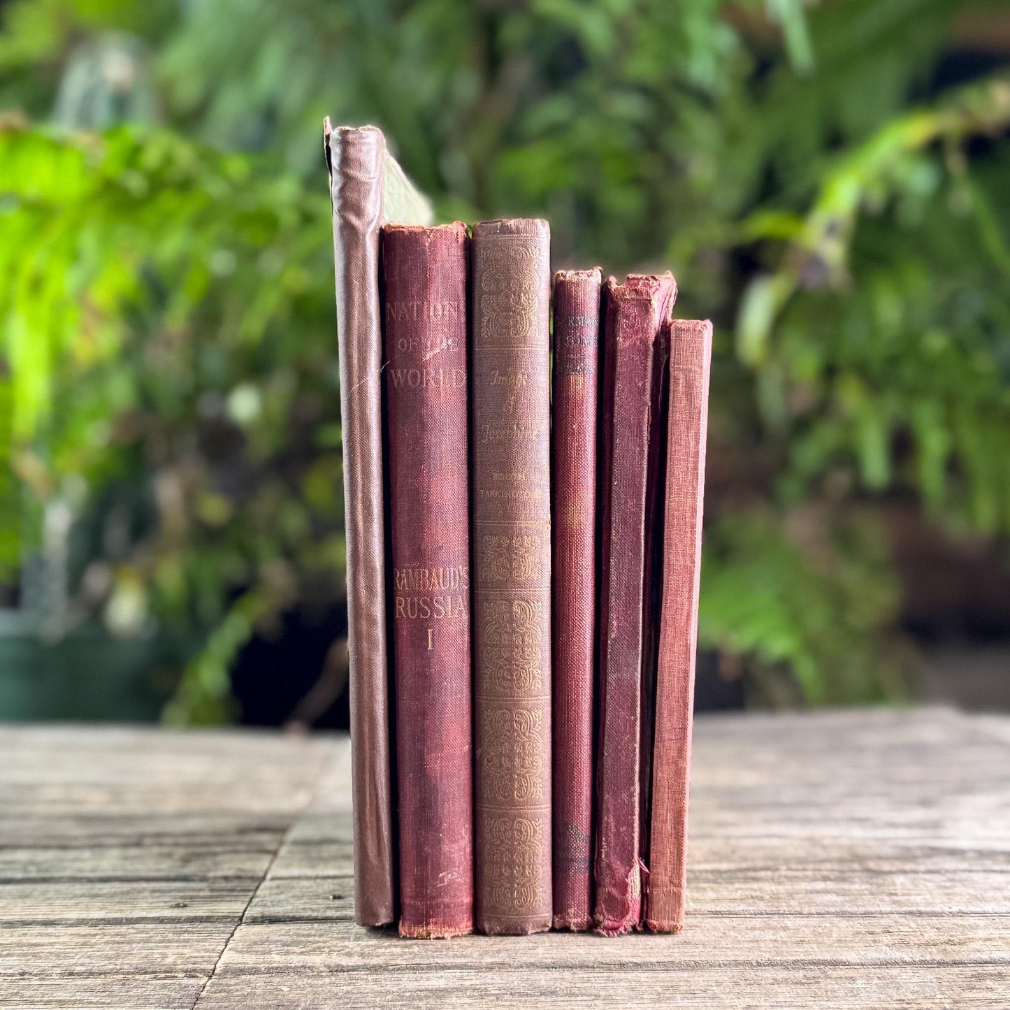 Antique Shabby Red & Brown Book Bundle for Moody Shelf Styling