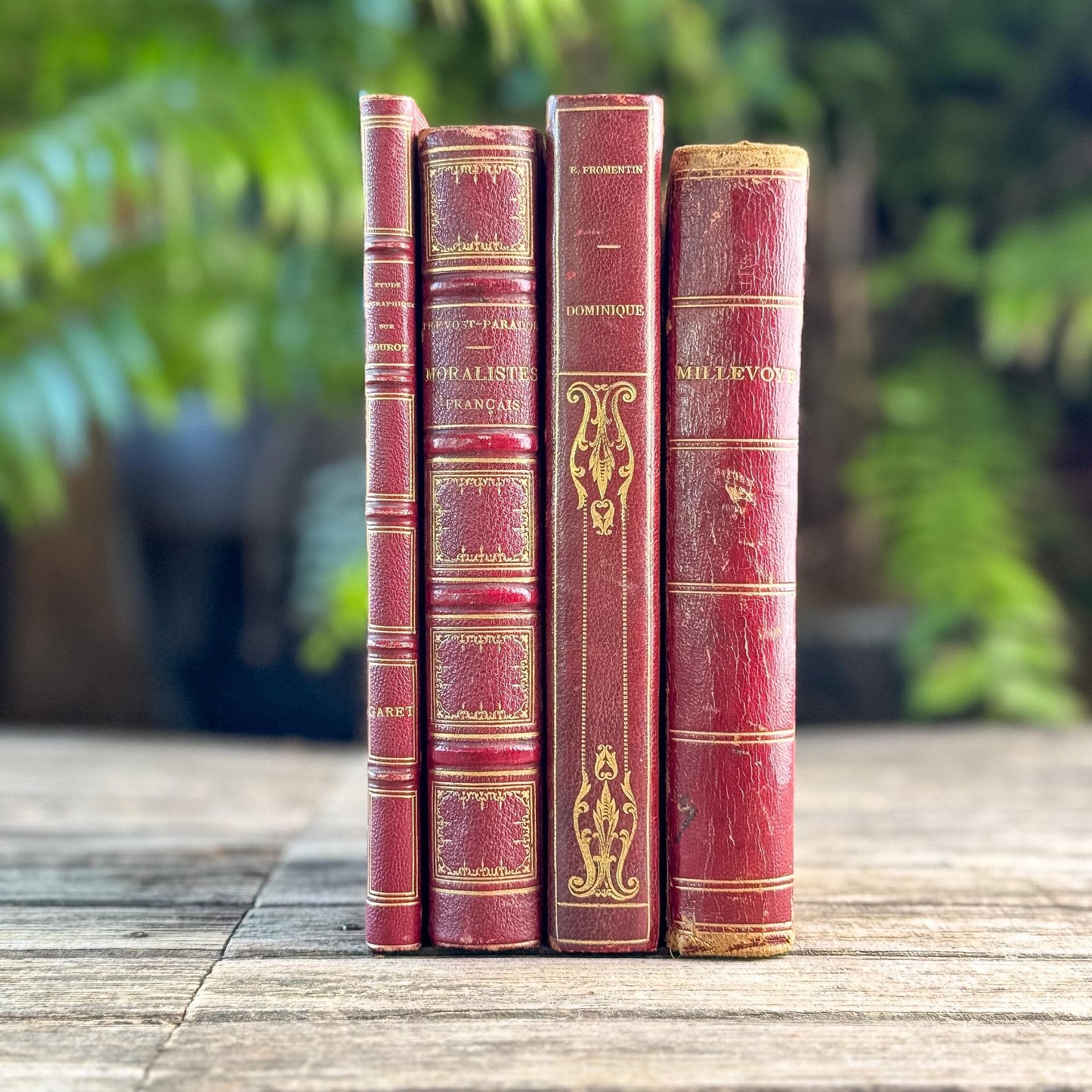 Antique French Red Leather Book Set from 1800s