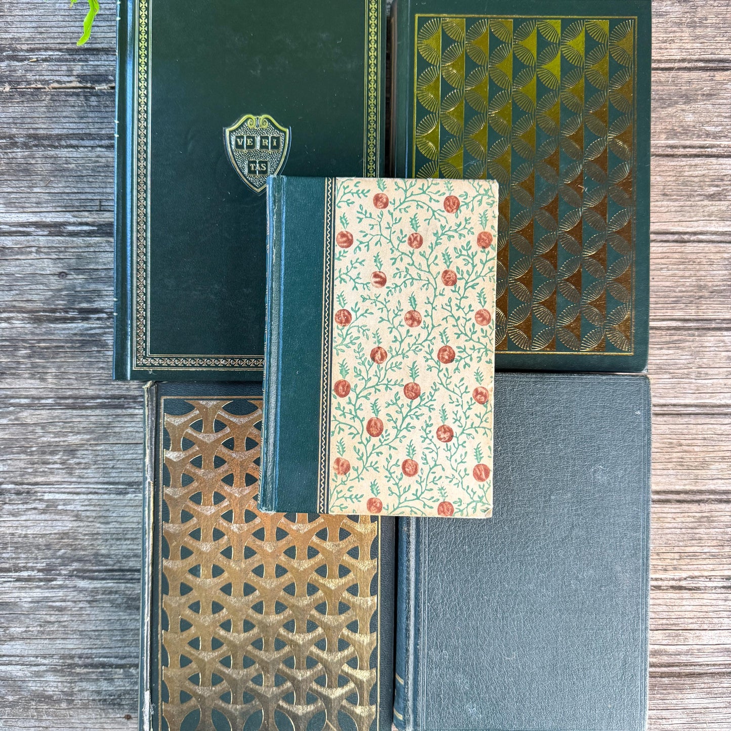 Dark Green & Gold Vintage Book Set for Academic Decor