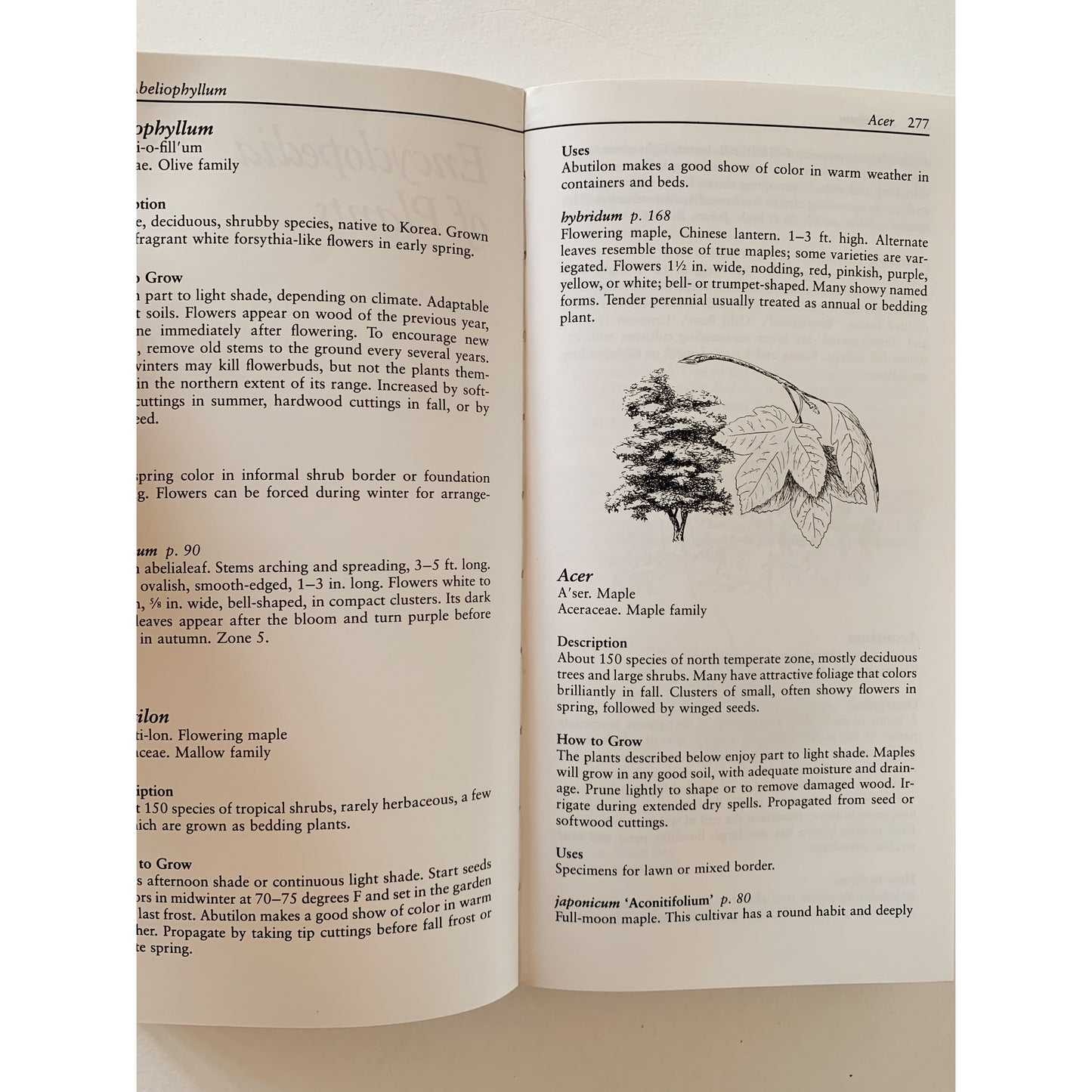 Taylor's Guide to Shade Gardening, 1994