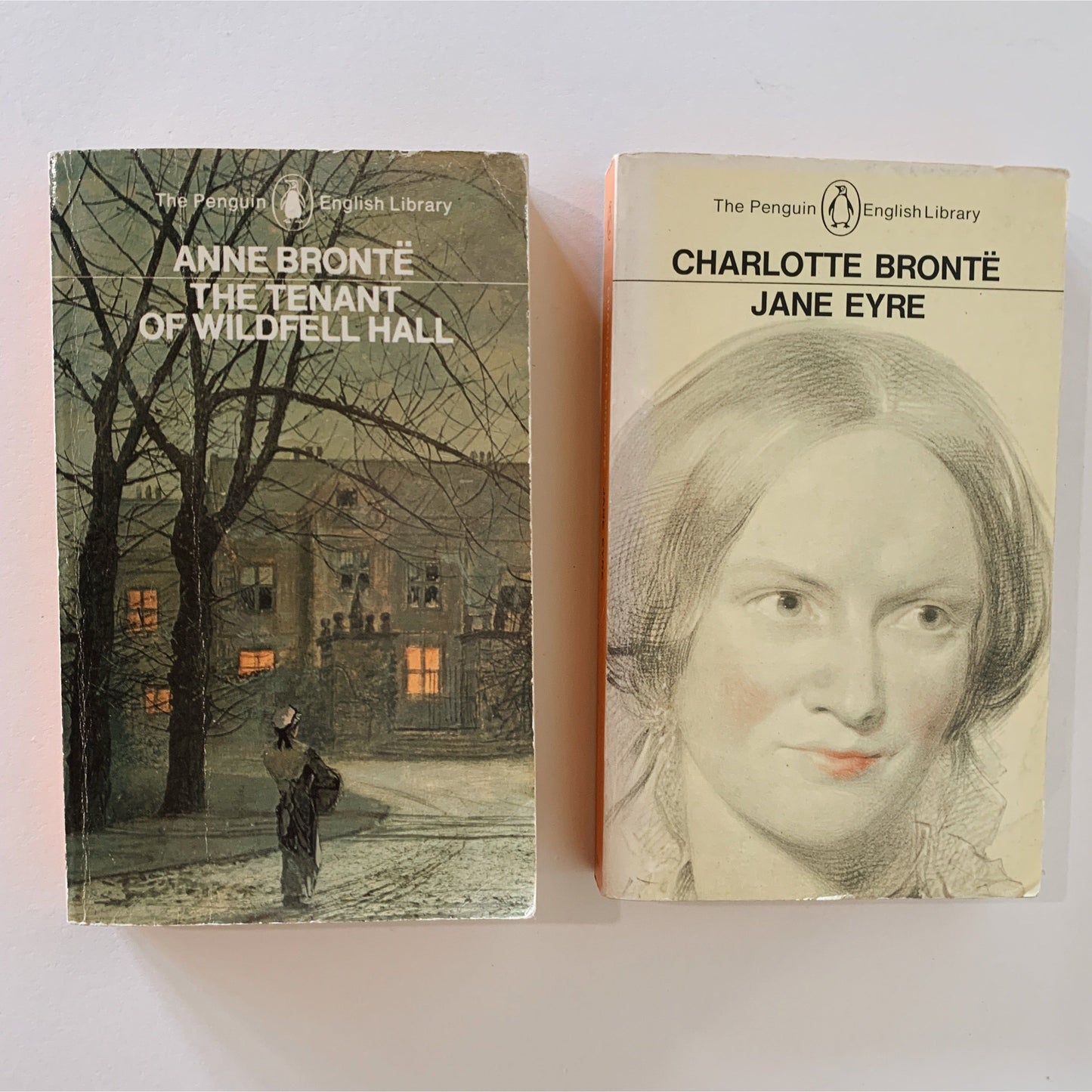 Set of Two Bronte Penguin English Library Classics