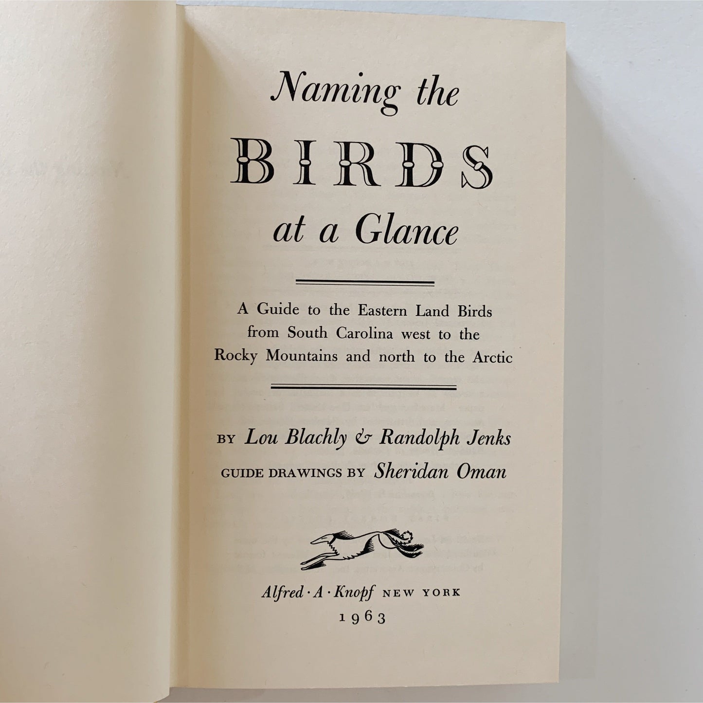 Naming the Birds at a Glance 1963 Hardcover