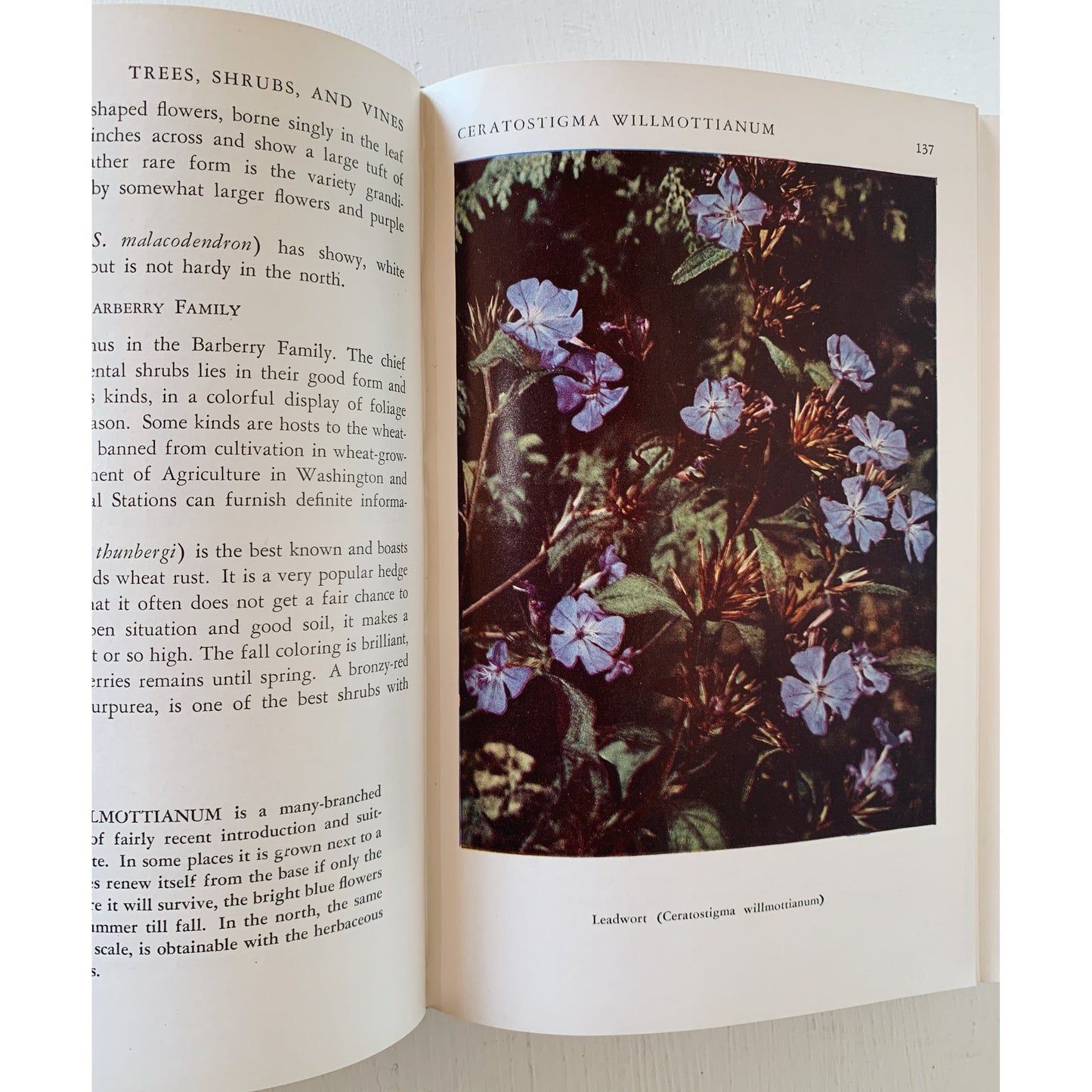 Favorite Flowers in Color, 1949, Botanical Book, Hardcover, 800 photos