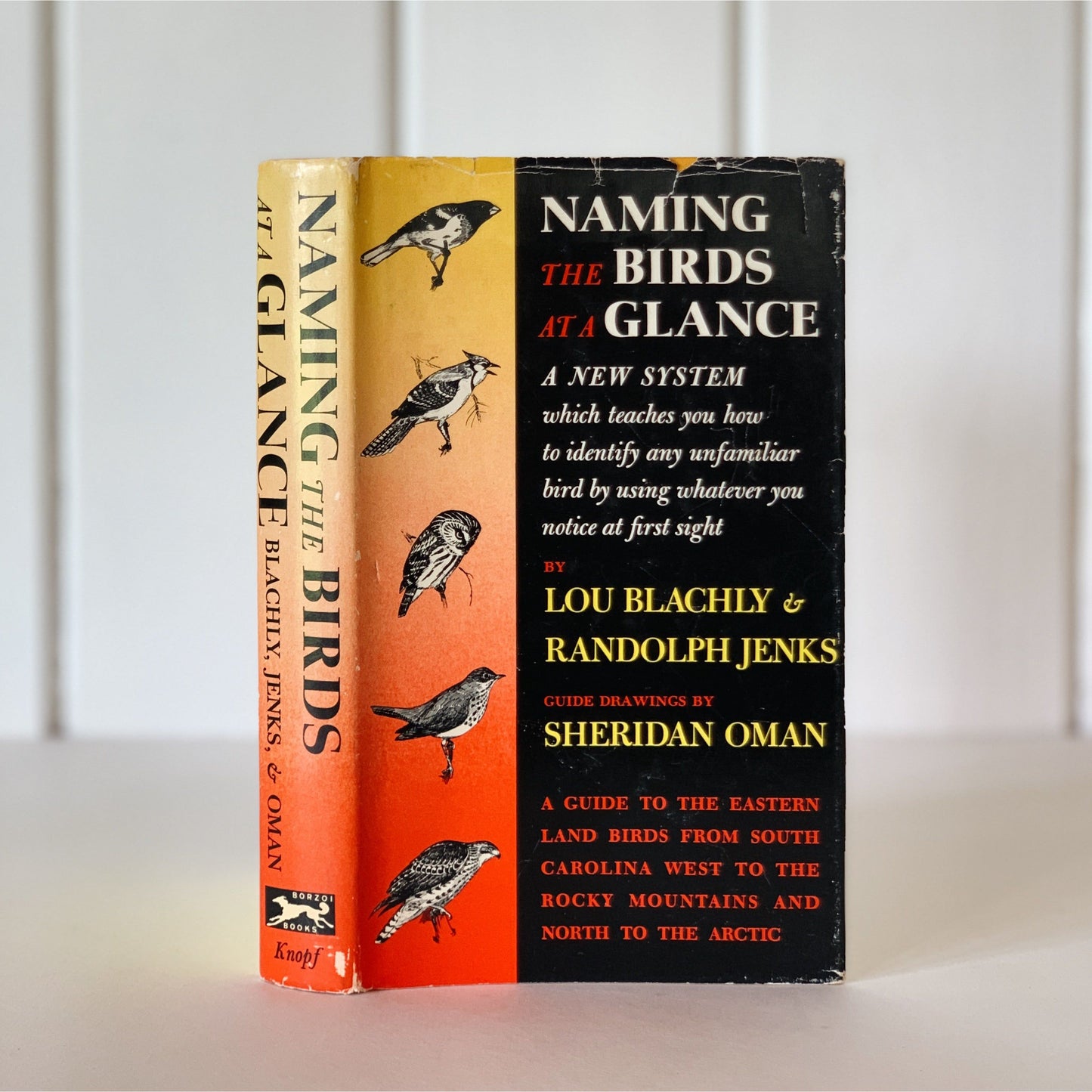 Naming the Birds at a Glance 1963 Hardcover