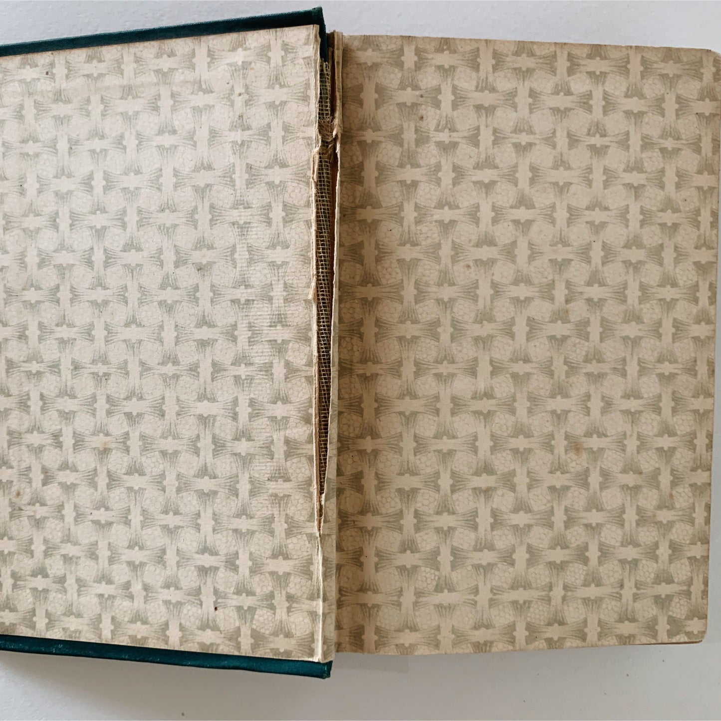 Eminent Women, Edgewood Edition, Illustrated, Antique Hardcover