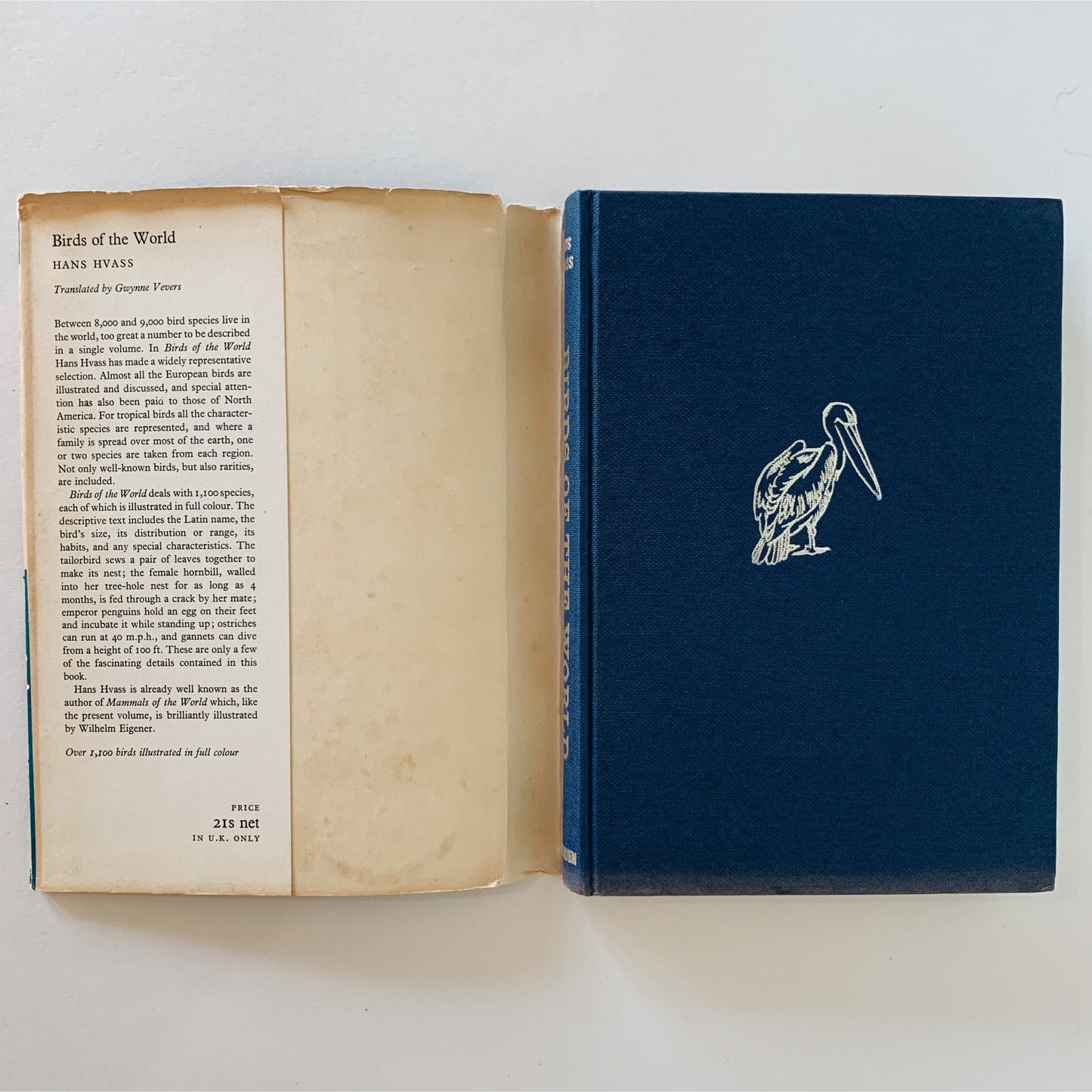 Birds of the World, Color Illustrations, 1964, Hardcover