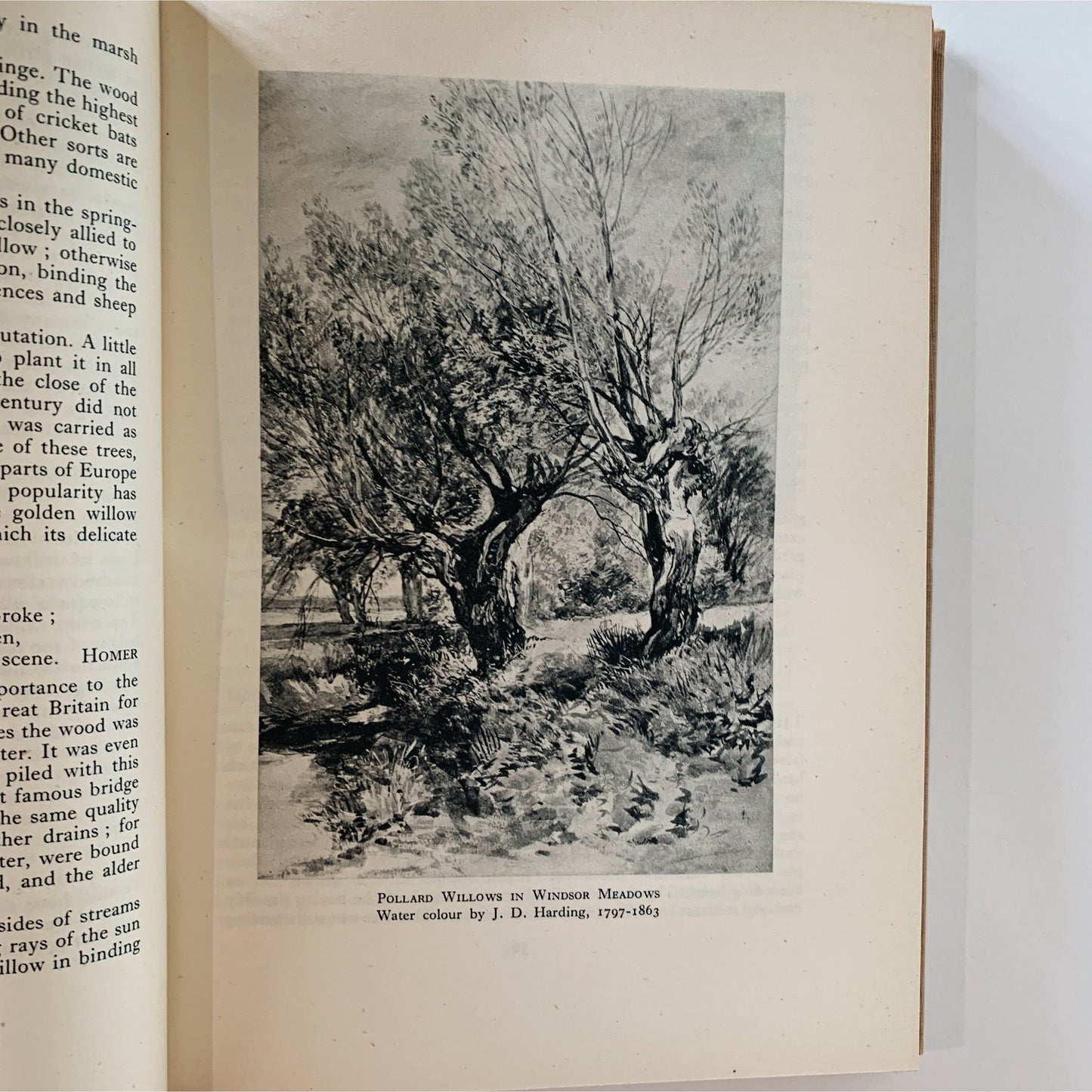 Nature in Britain, 48 Color Botanical Illustrations, Vintage Hardcover, 1946