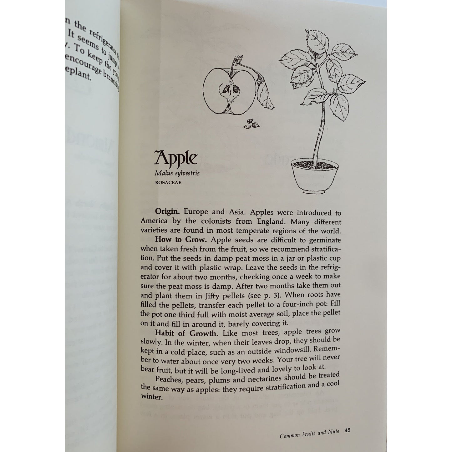 The Don't Throw It Grow it Book of Houseplants, Millicent Selsam and Deborah Peterson, 1977 Paperback