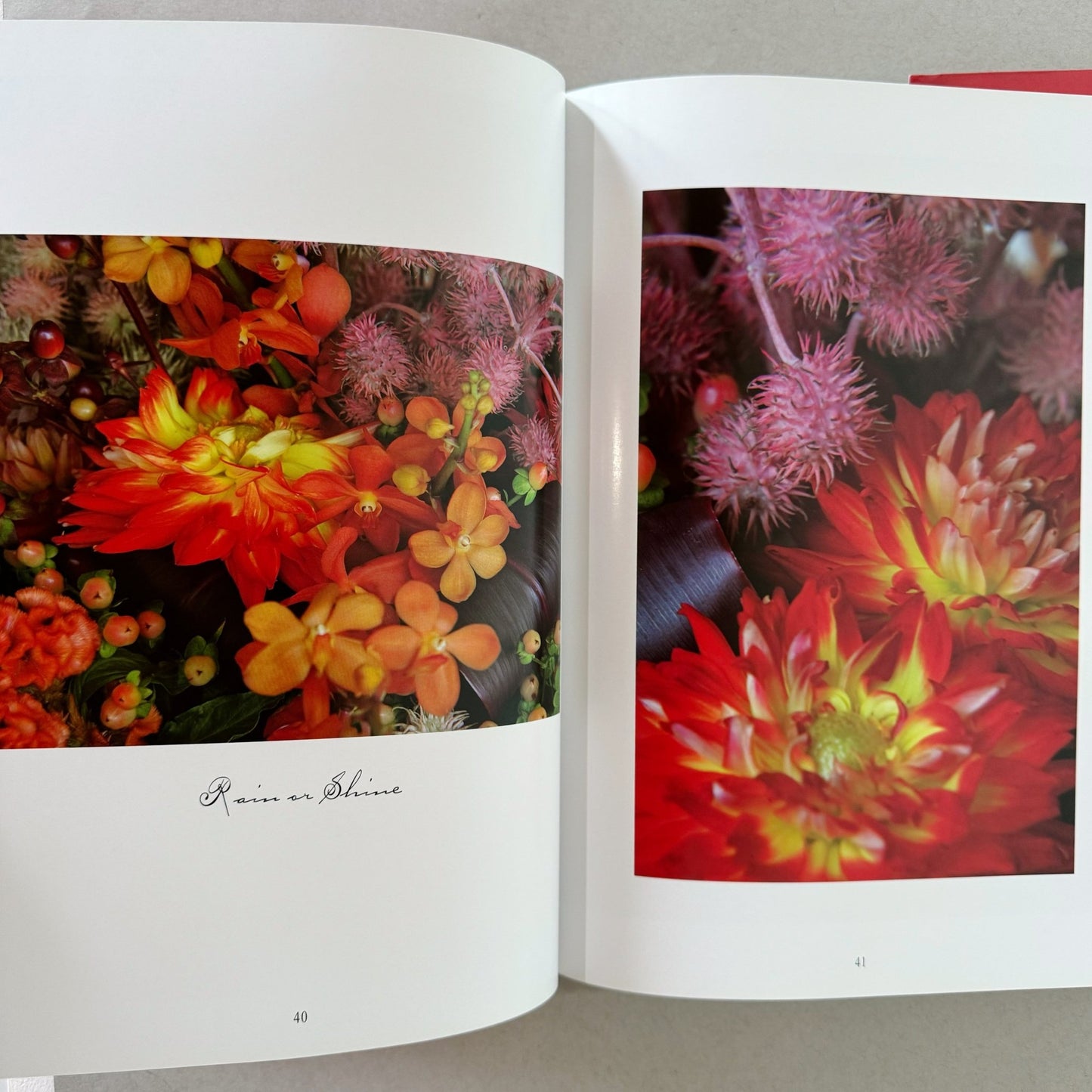 In the Company of Flowers, Ron Morgan, 2006, Signed Hardcover - Pretty Old Books