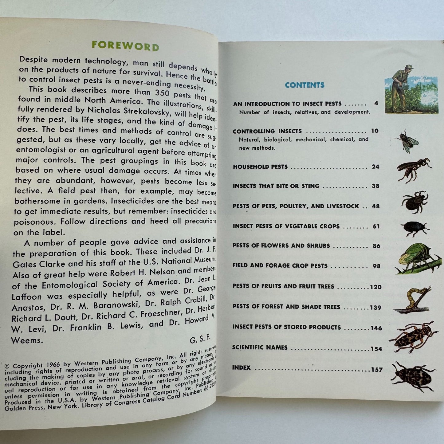 Insect Pests, A Golden Nature Guide, 1966 - Pretty Old Books
