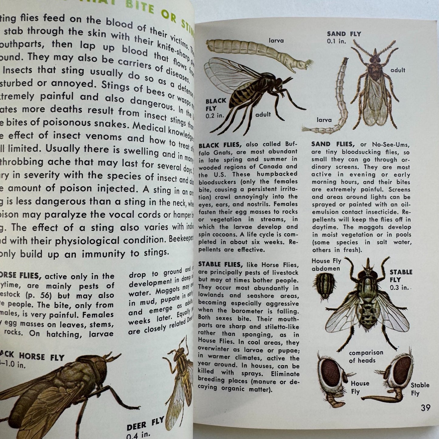 Insect Pests, A Golden Nature Guide, 1966 - Pretty Old Books