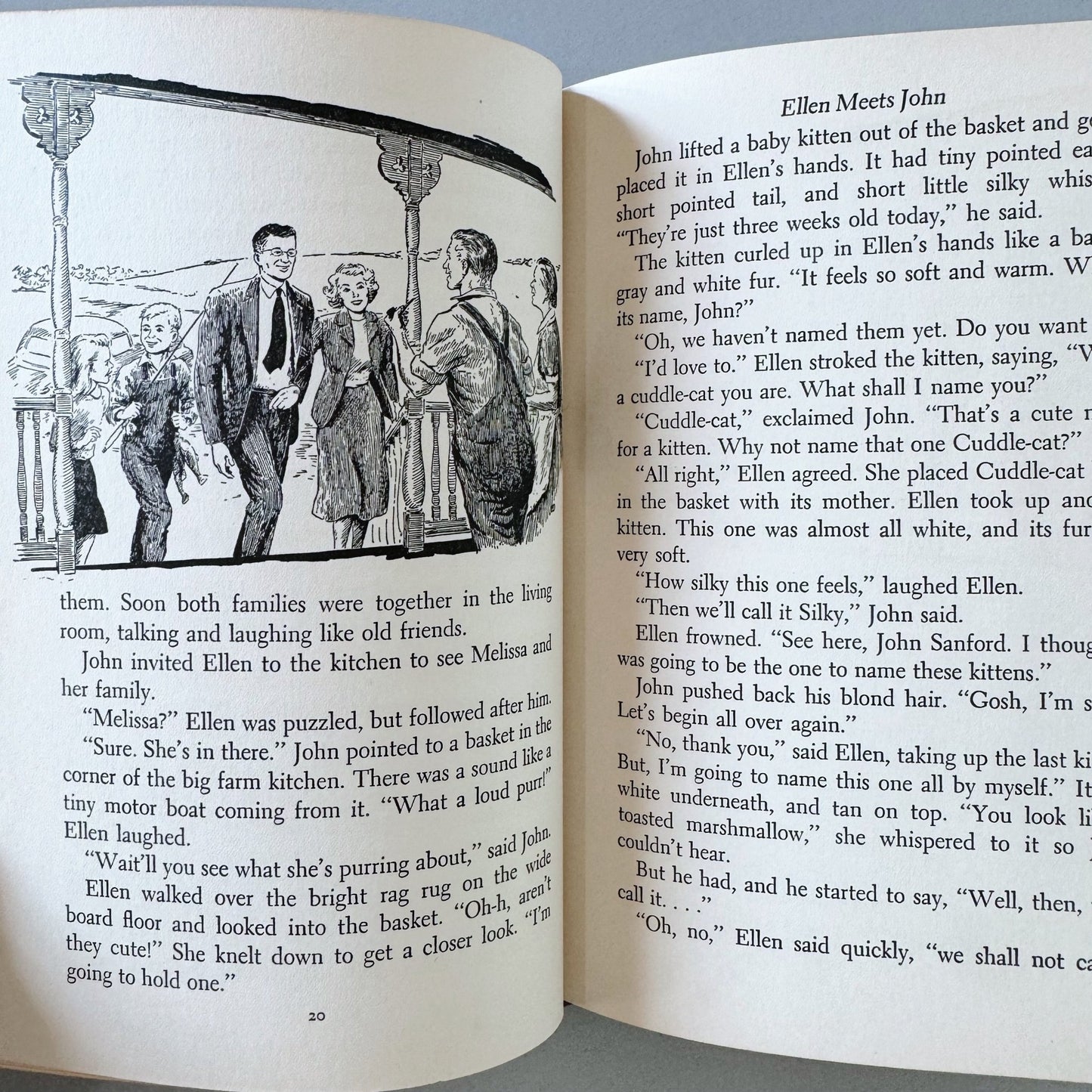 Into the World, Mid - Century Birds and Bees Fiction for Kids, 1950, Emerson and Thompson - Pretty Old Books