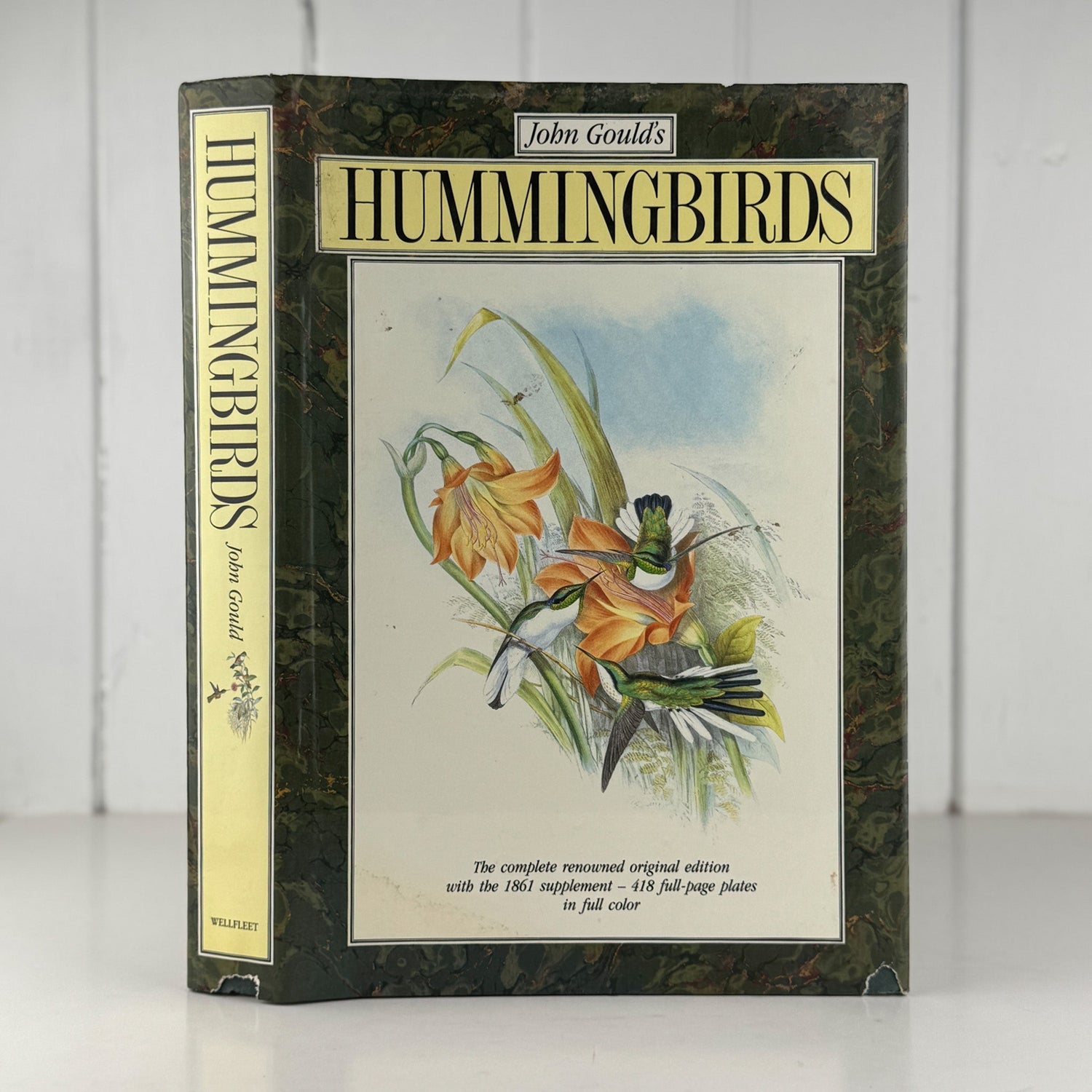 John Gould's Hummingbirds, 1990, Profuse Color Plates - Pretty Old Books