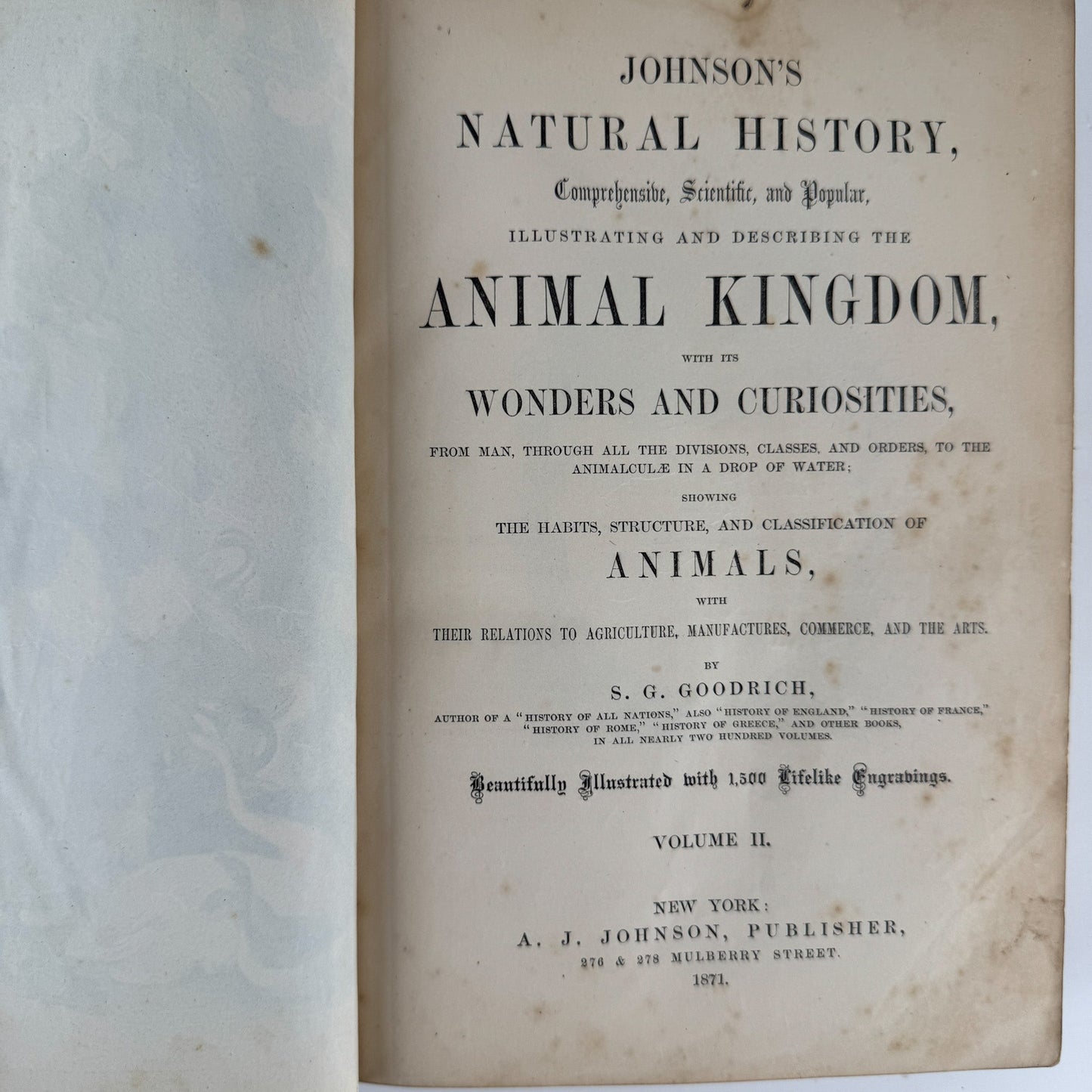 Johnson’s The Animal Kingdom Illustrated, Natural History, Volumes I & II, 1871, Illustrated Natural Antique - Pretty Old Books