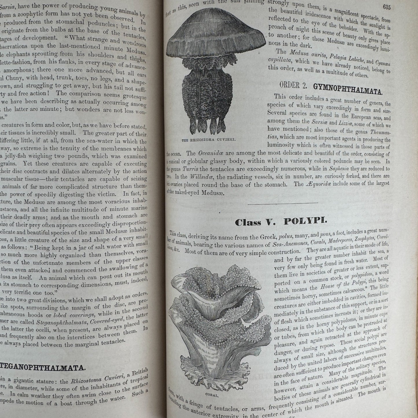 Johnson’s The Animal Kingdom Illustrated, Natural History, Volumes I & II, 1871, Illustrated Natural Antique - Pretty Old Books