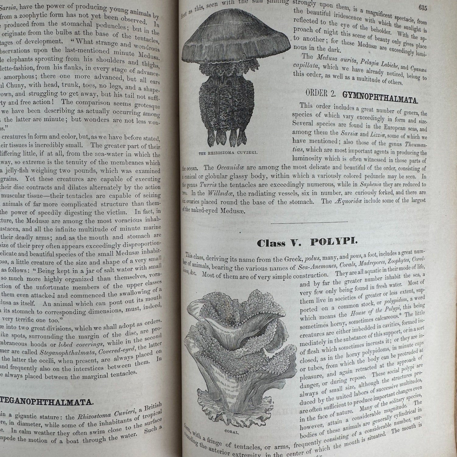 Johnson’s The Animal Kingdom Illustrated, Natural History, Volumes I & II, 1871, Illustrated Natural Antique - Pretty Old Books