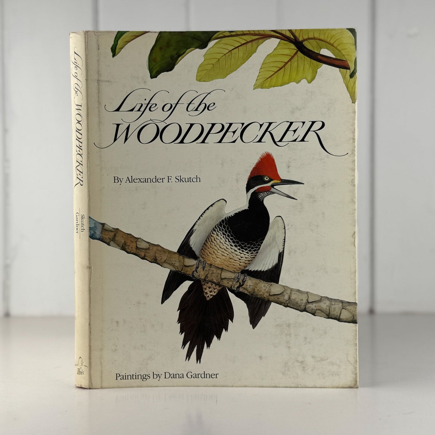 Life of the Woodpecker, Alexander F. Skutch, 1985 Ornithology Illustrated Book - Pretty Old Books