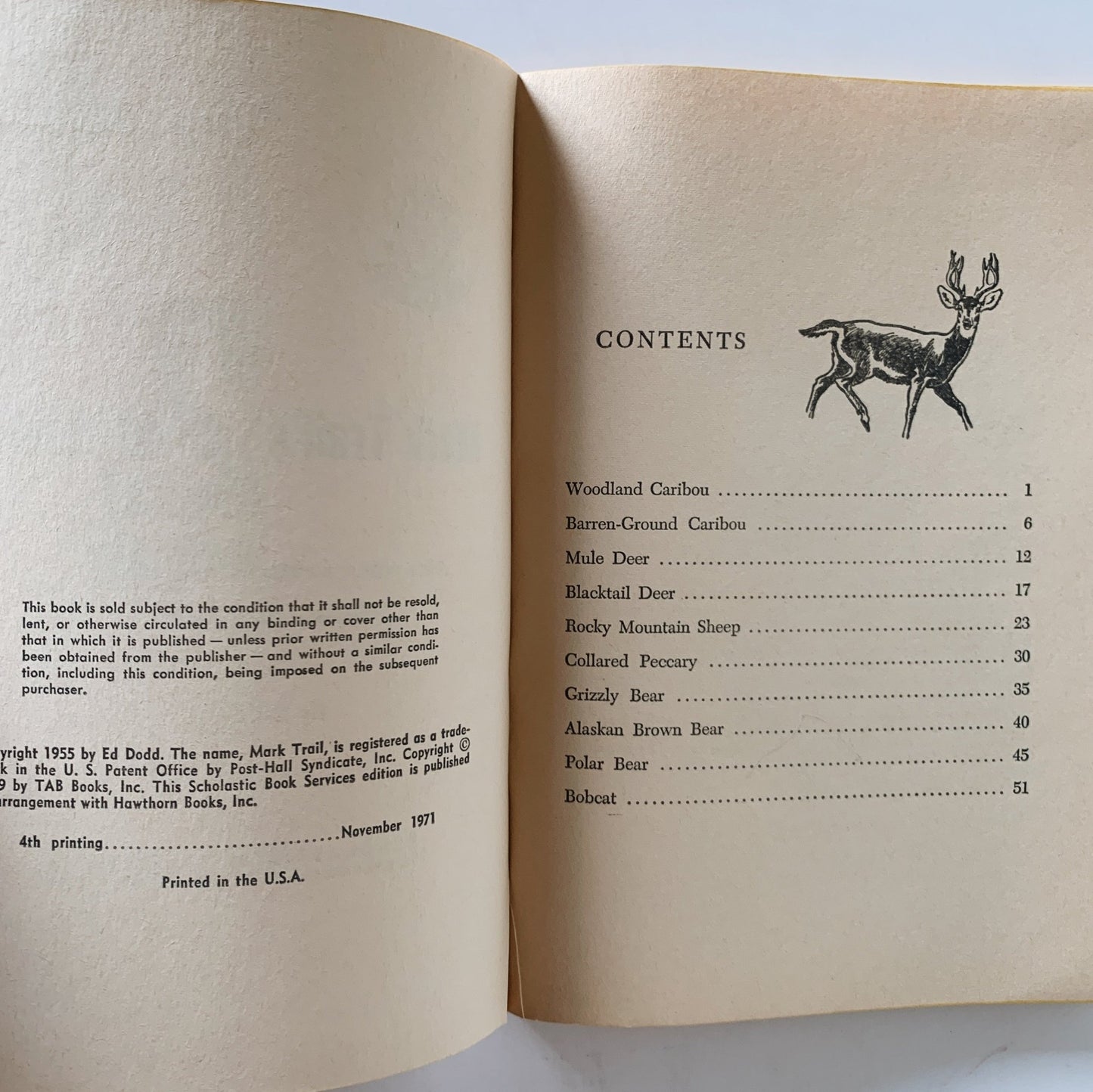 Mark Trail's 2nd Book of Animals (North American Mammals), Scholastic 1971 - Pretty Old Books