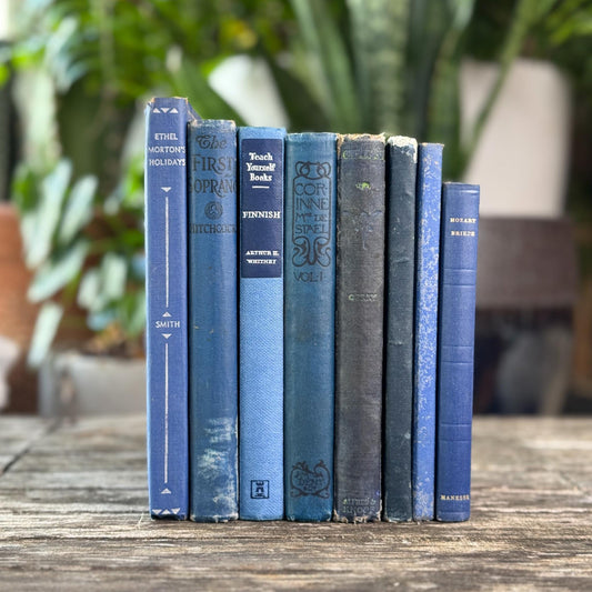 Mini Blue Vintage Book Set for Shelf and Nightstand Styling - Pretty Old Books