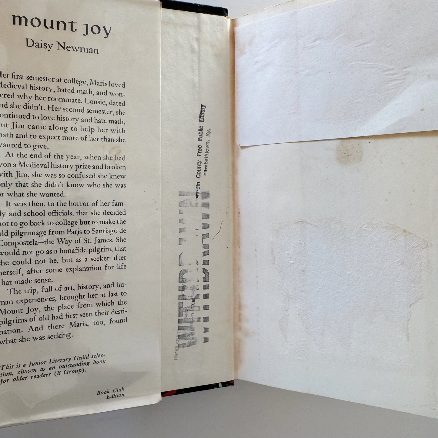Mount Joy, Young Adult Coming of Age Novel, Daisy Newman, 1968 First Edition - Pretty Old Books