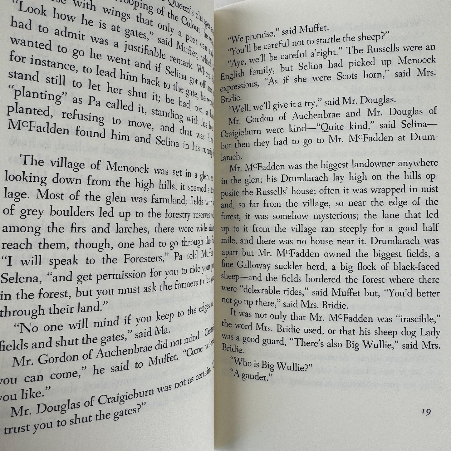 Mr. McFadden's Hallowe'en, Rumer Godden, 1975 Hardcover - Pretty Old Books